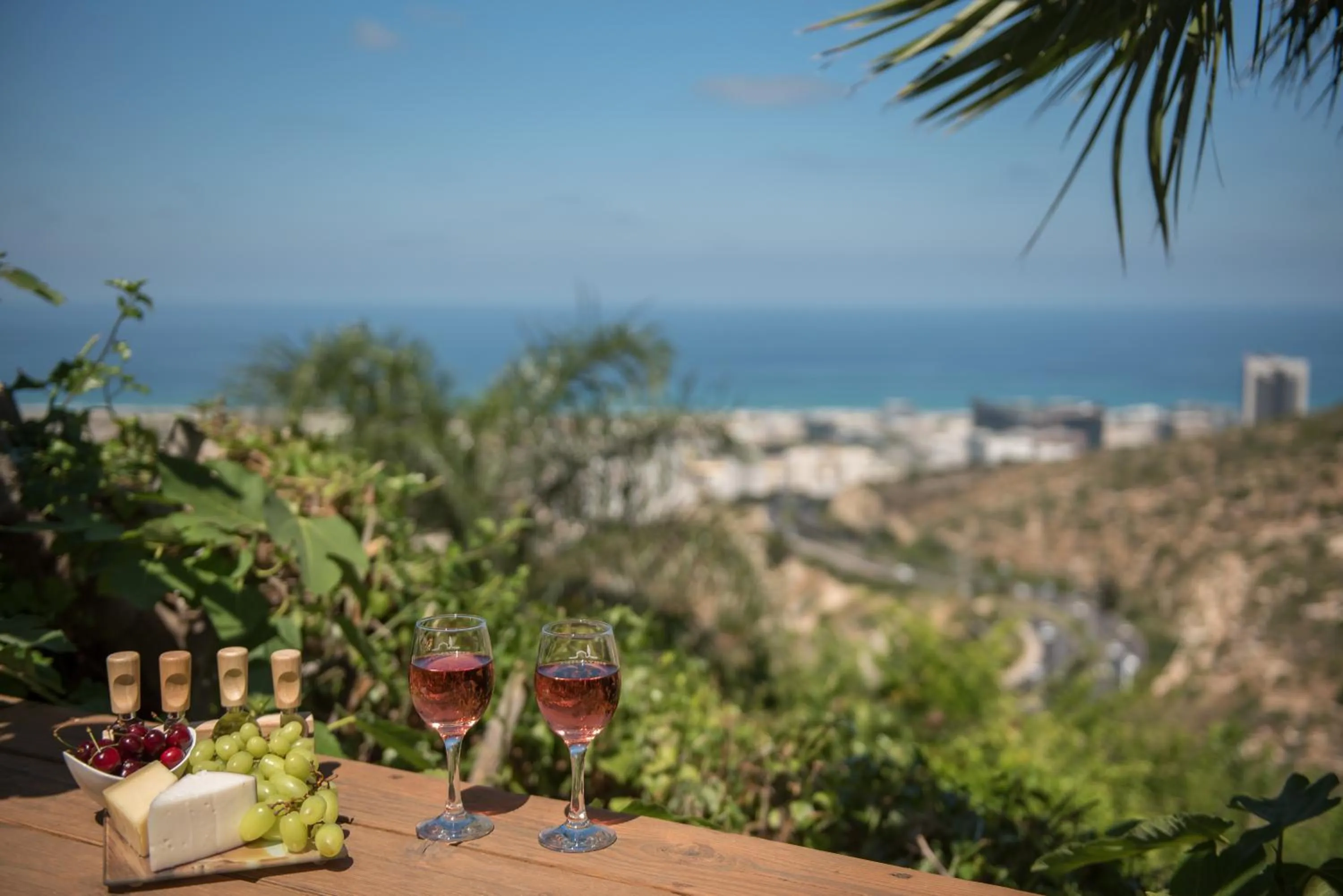 Wallenberg Oasis Apartments Haifa
