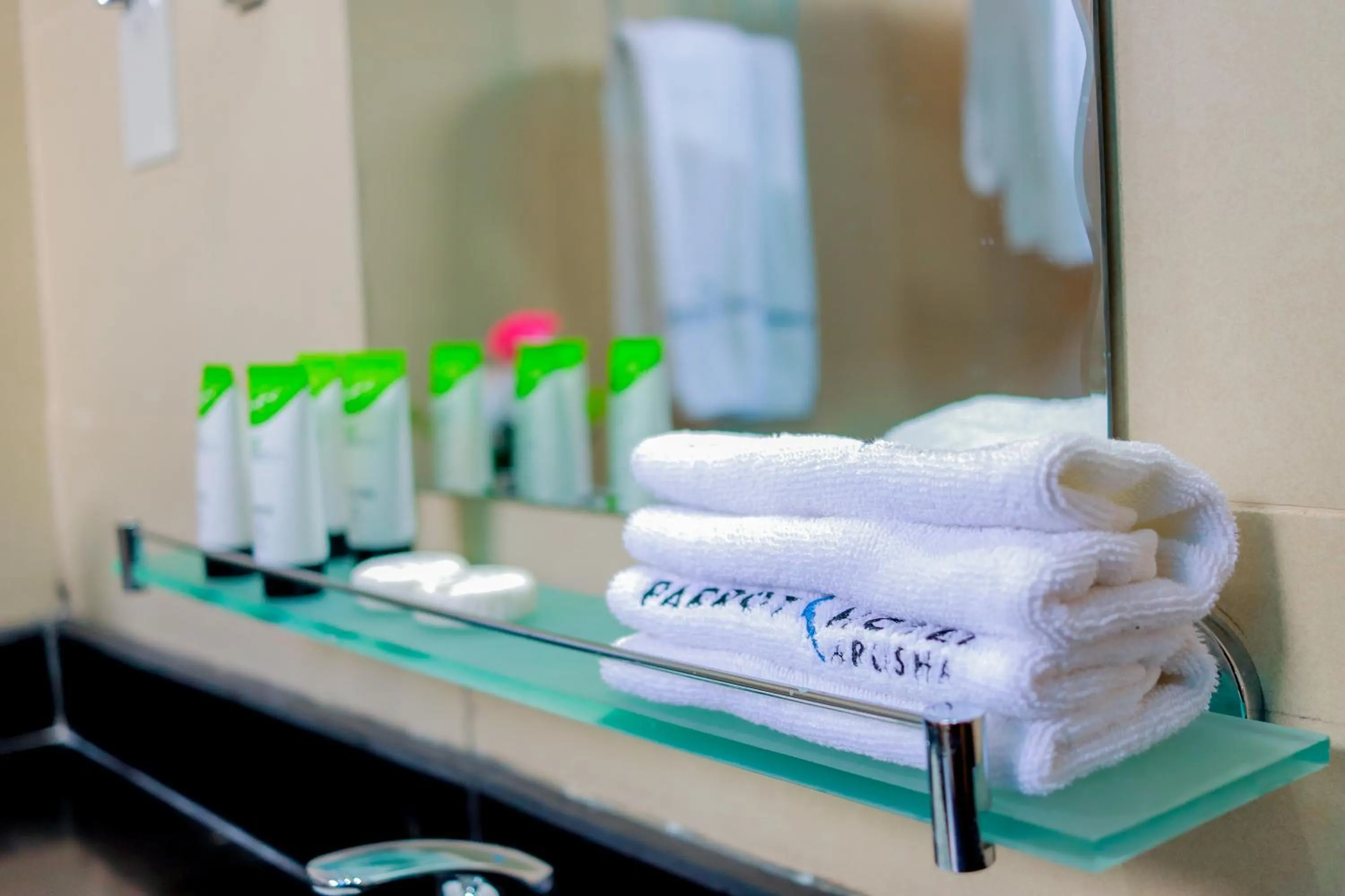 Toilet in Parrot Hotel Arusha