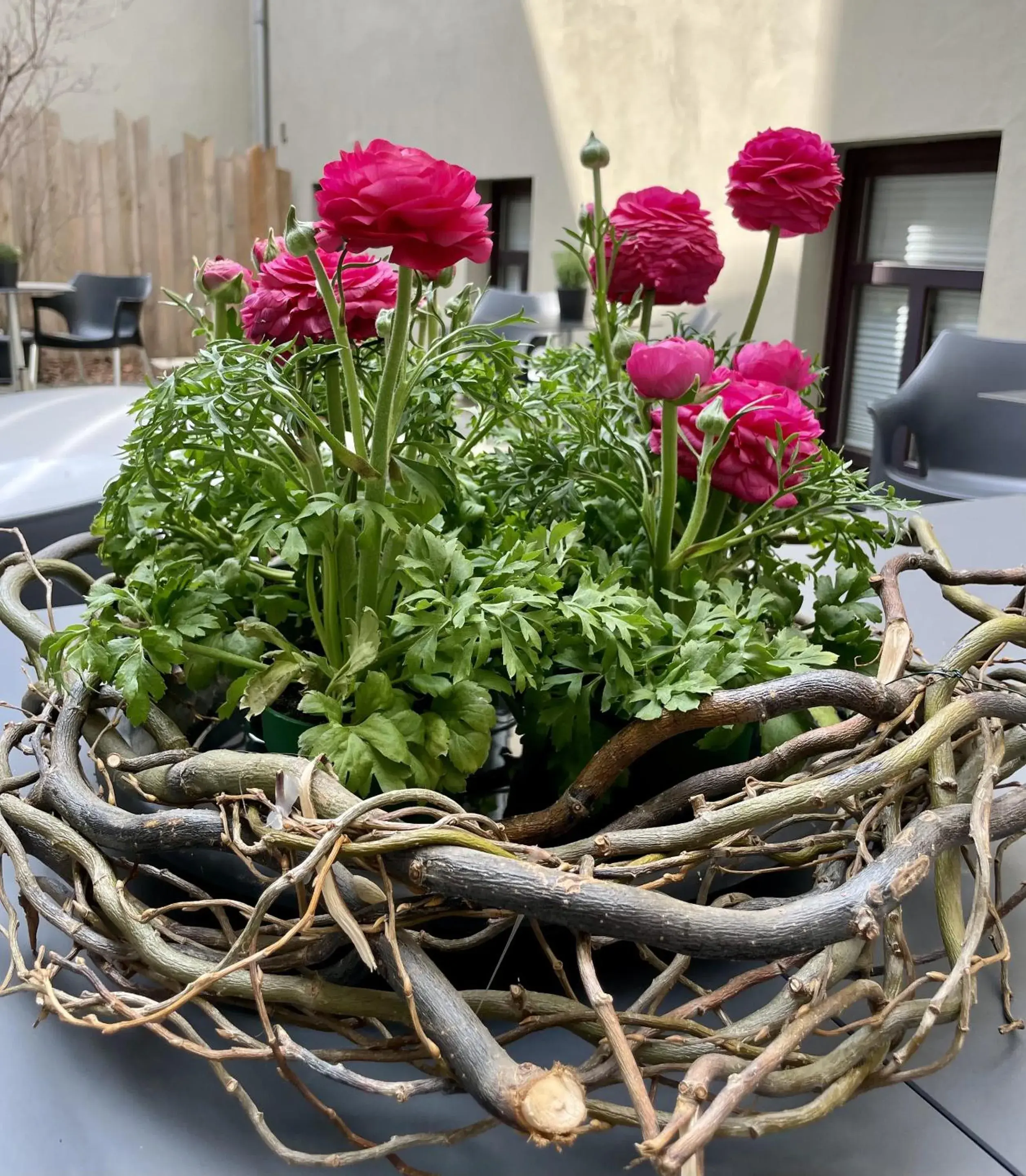 Property building in Pension Burkhardt Property building in Pension Burkhardt