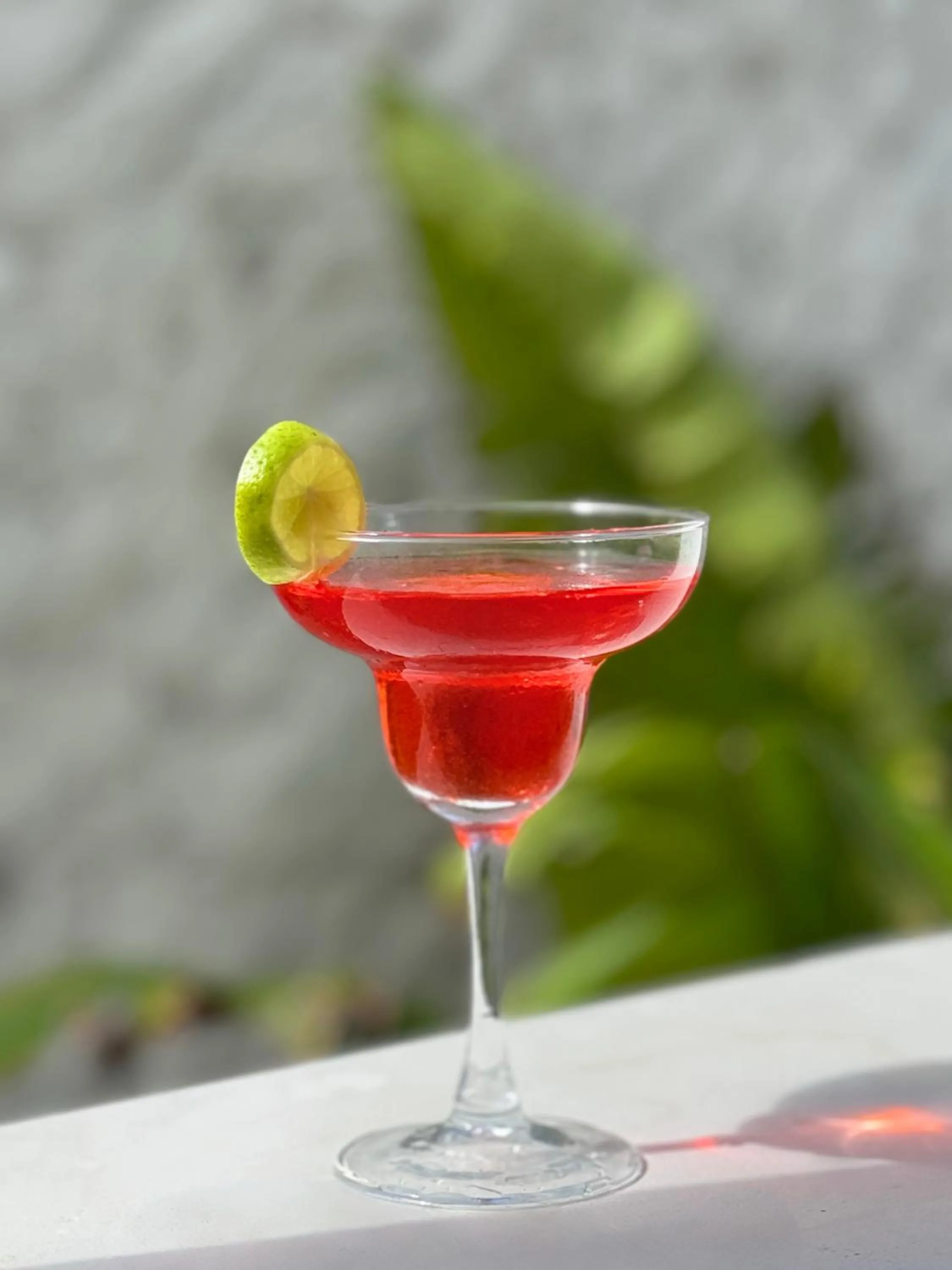 Drinks in Mia Boutique Hotel