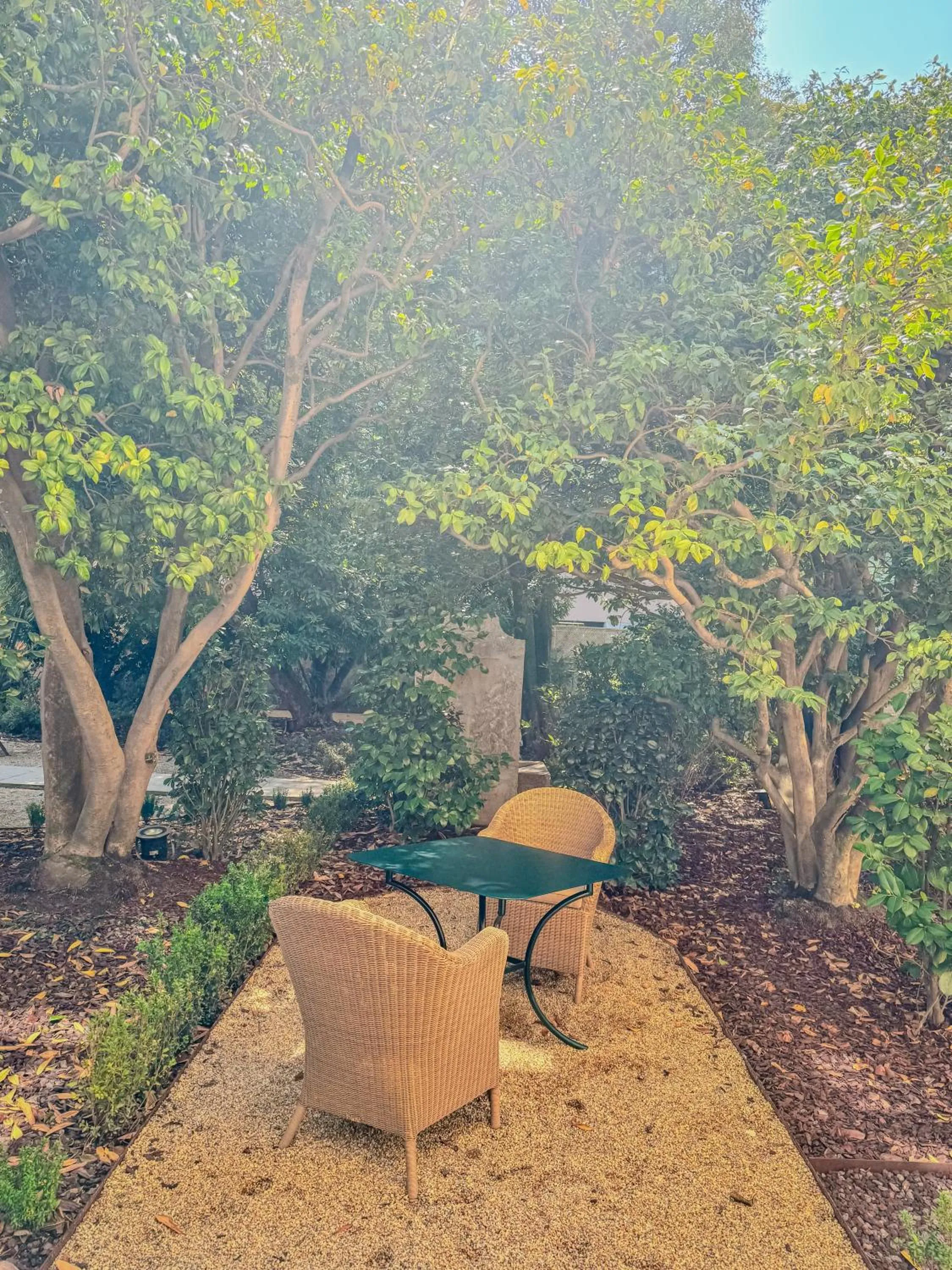 Garden in Palacete Severo