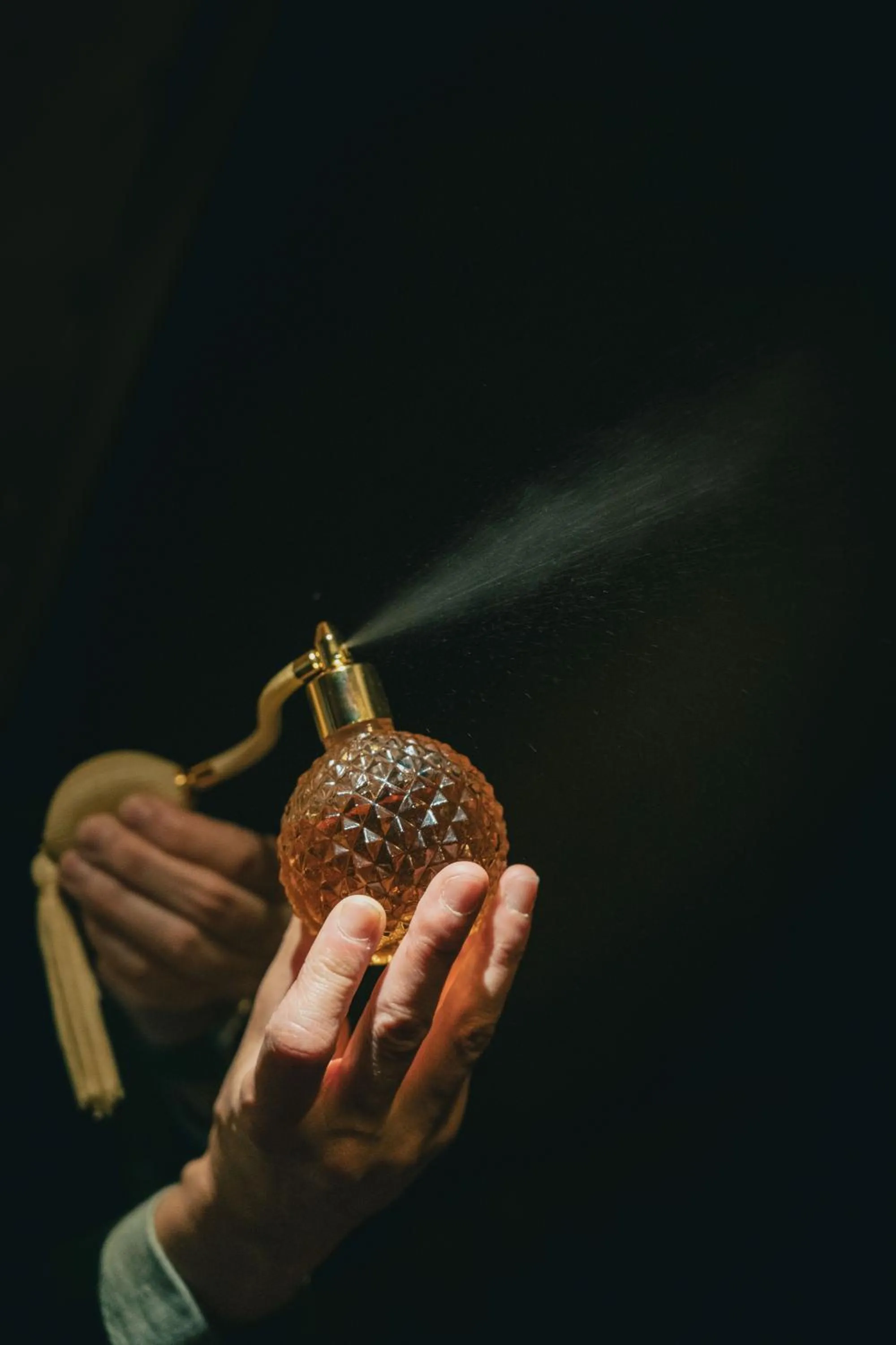 Lounge or bar in Palacete Severo