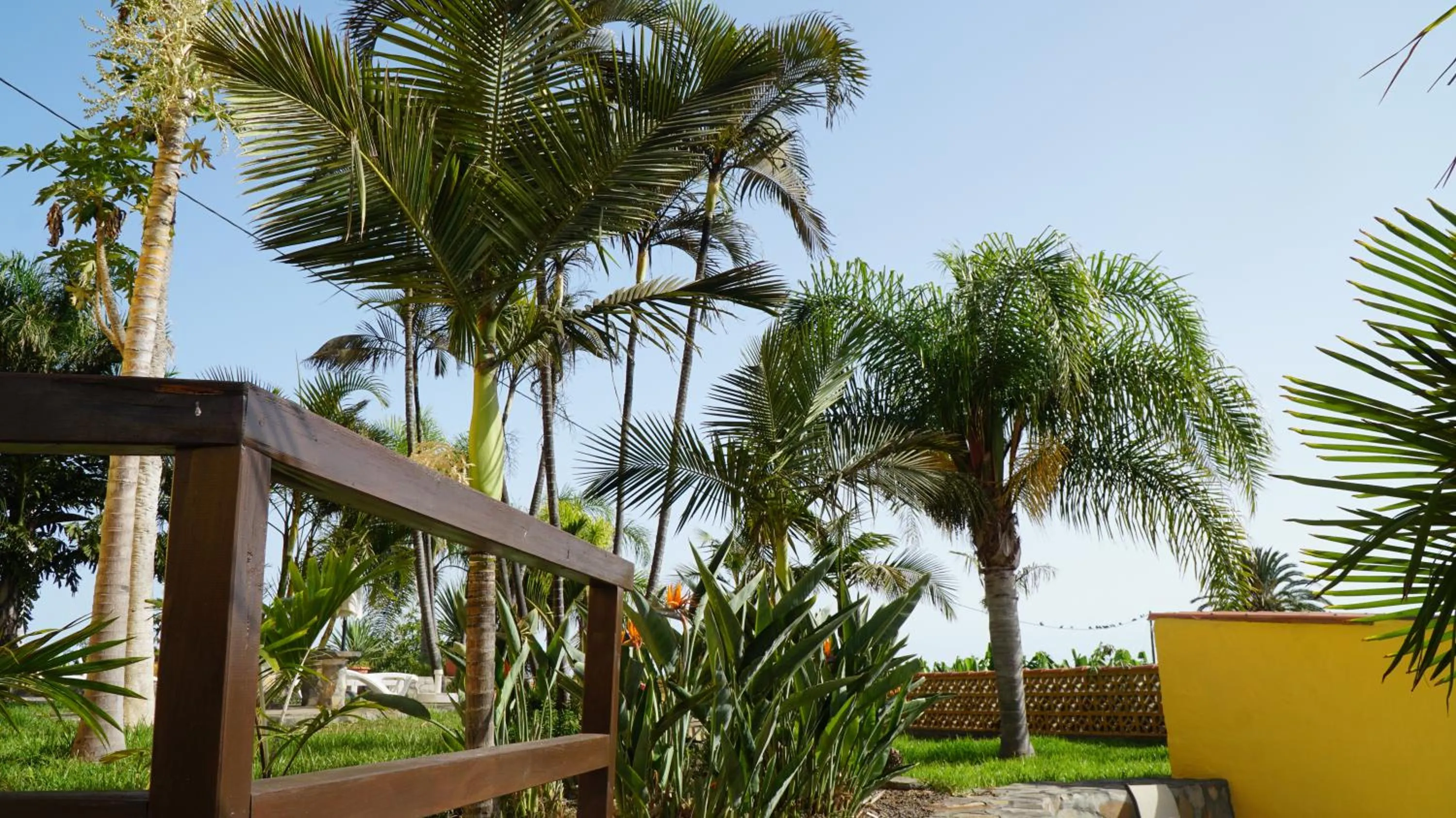 Garden in Los Padres B