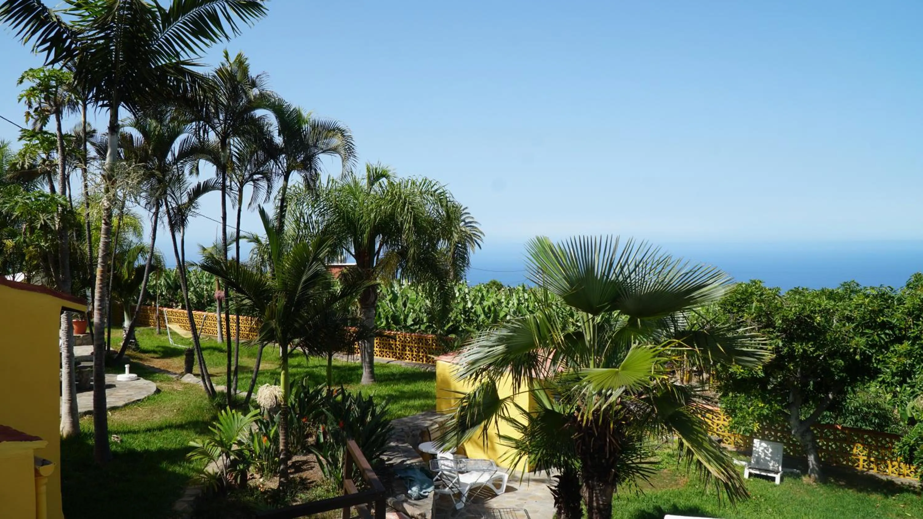 Garden in Los Padres B
