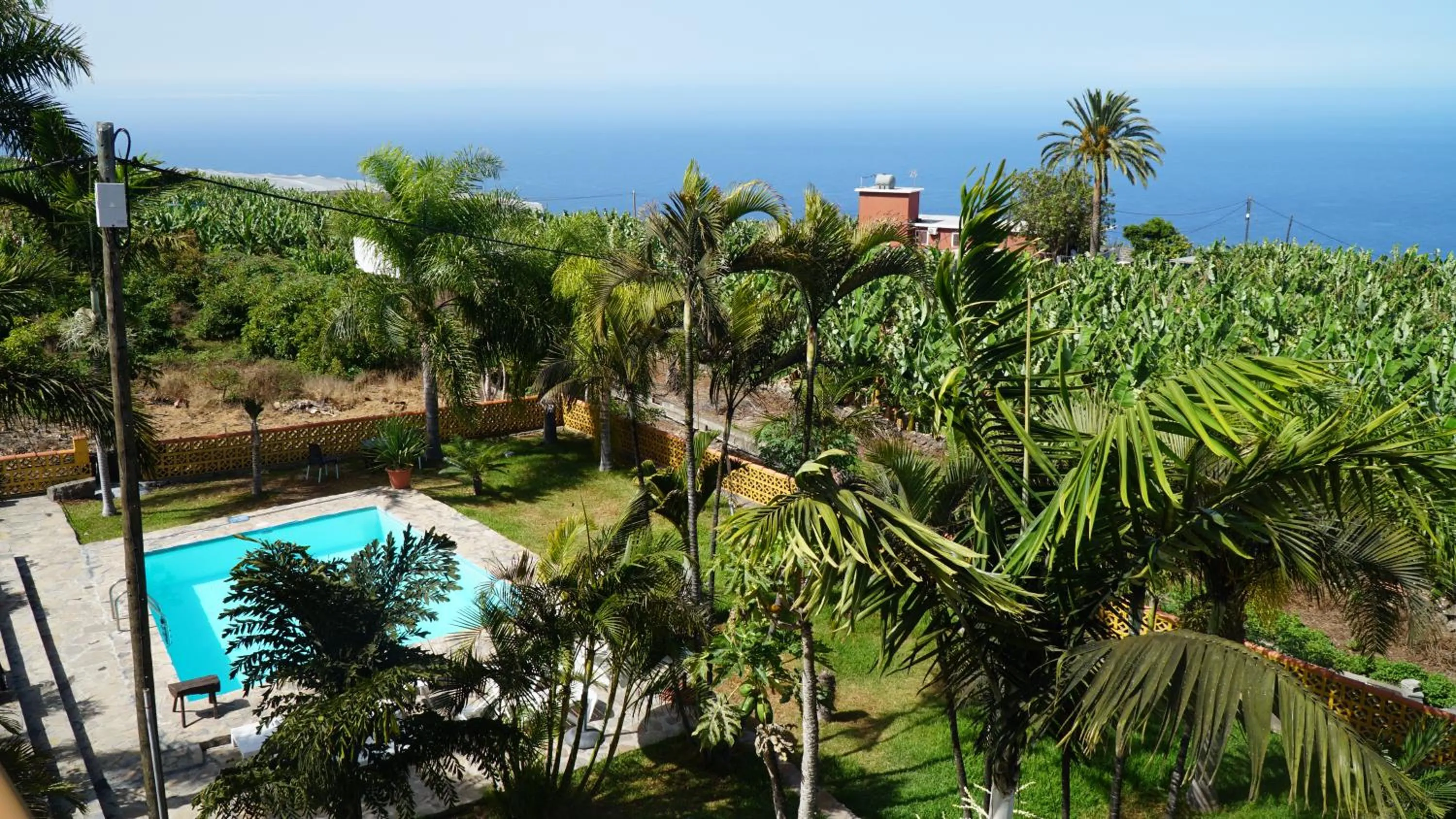Garden view in Los Padres B