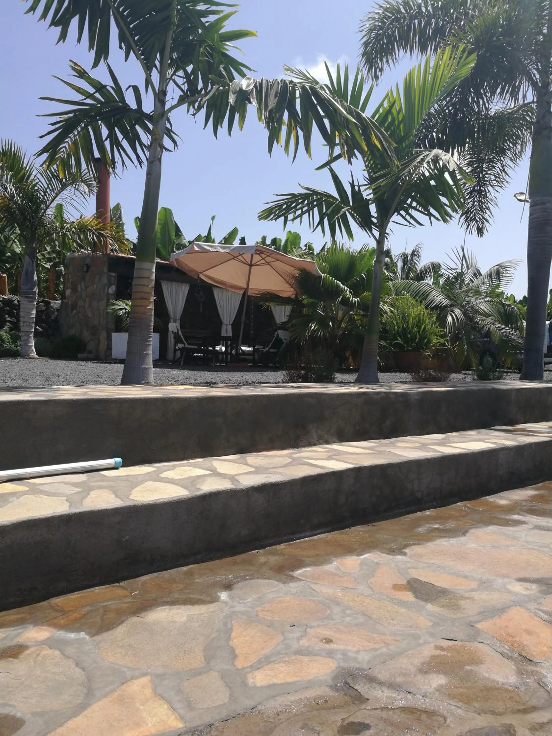 Garden in Los Padres B