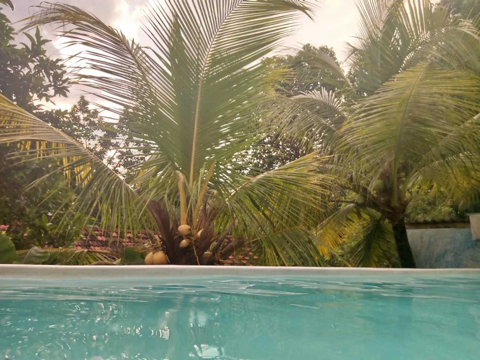 Villa Jungle Paradise