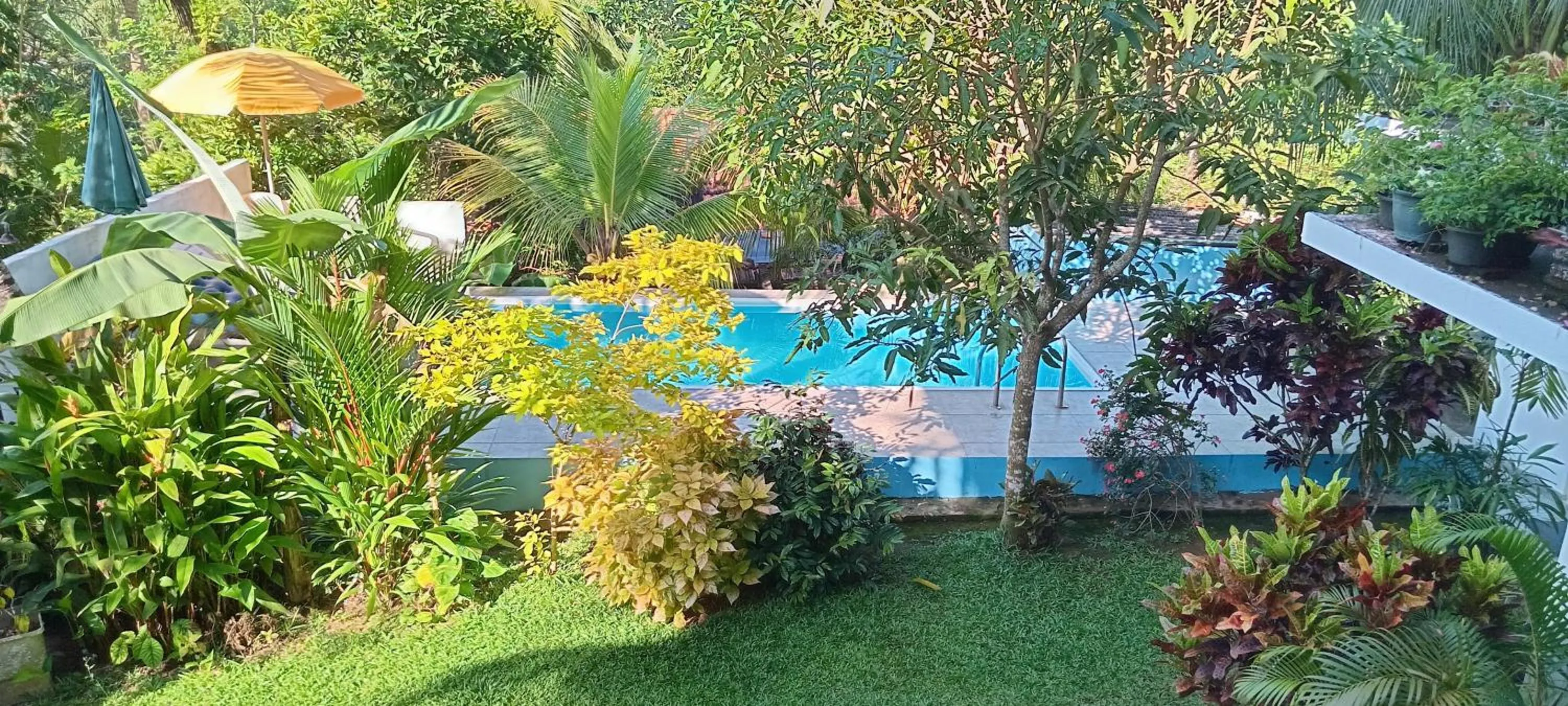 Villa Jungle Paradise