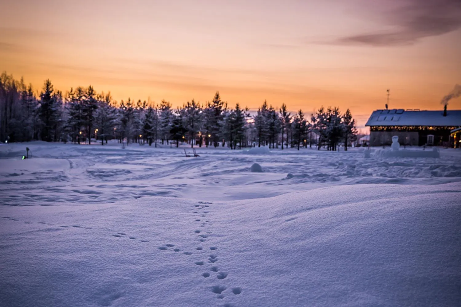 Neighbourhood in Elves Village Hotel