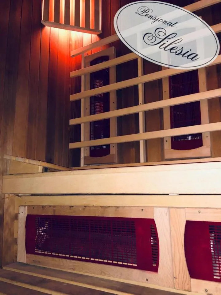 Entertainment in Willa Silesia