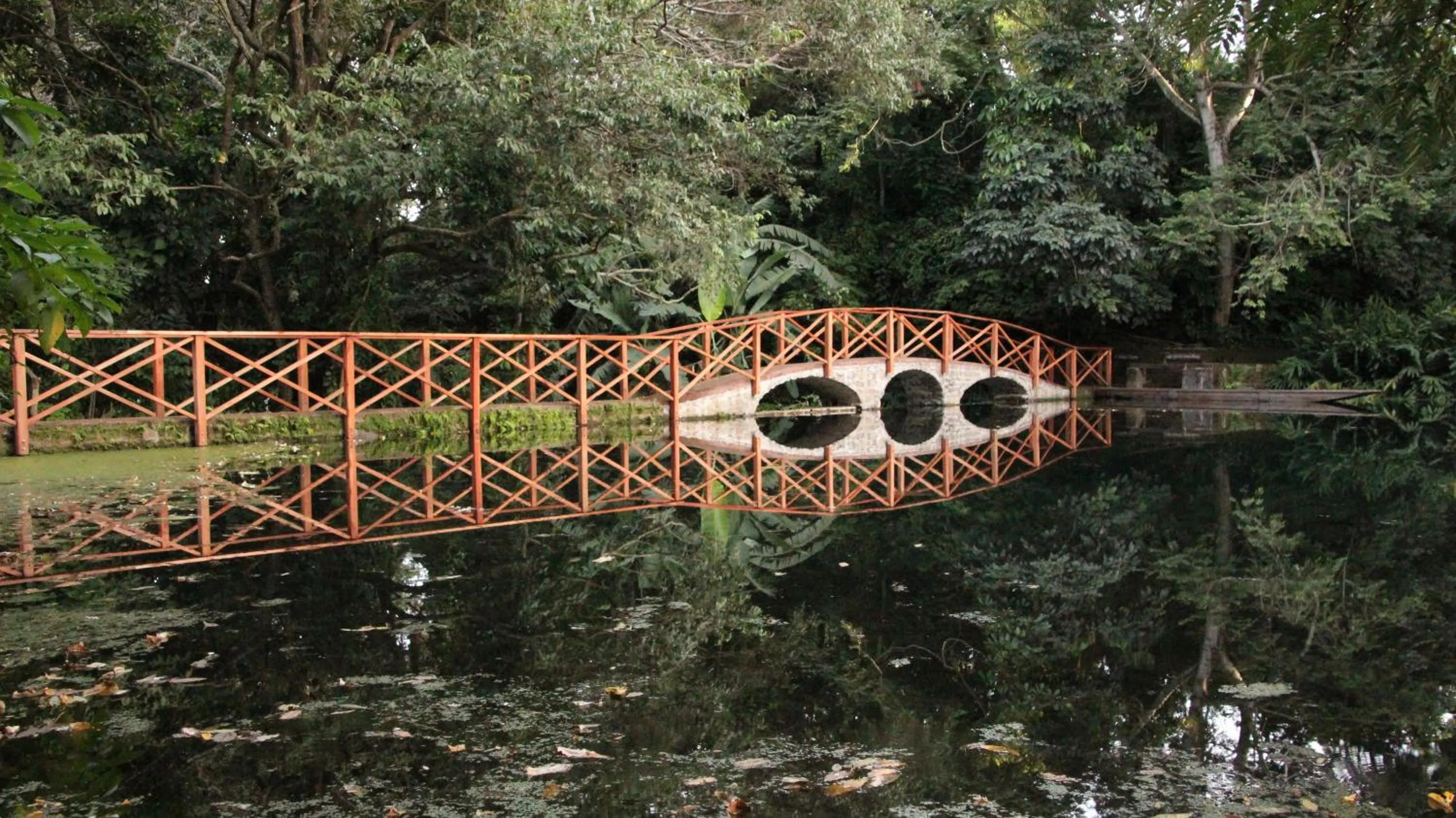 Facade/entrance in Ngare Sero Mountain Lodge