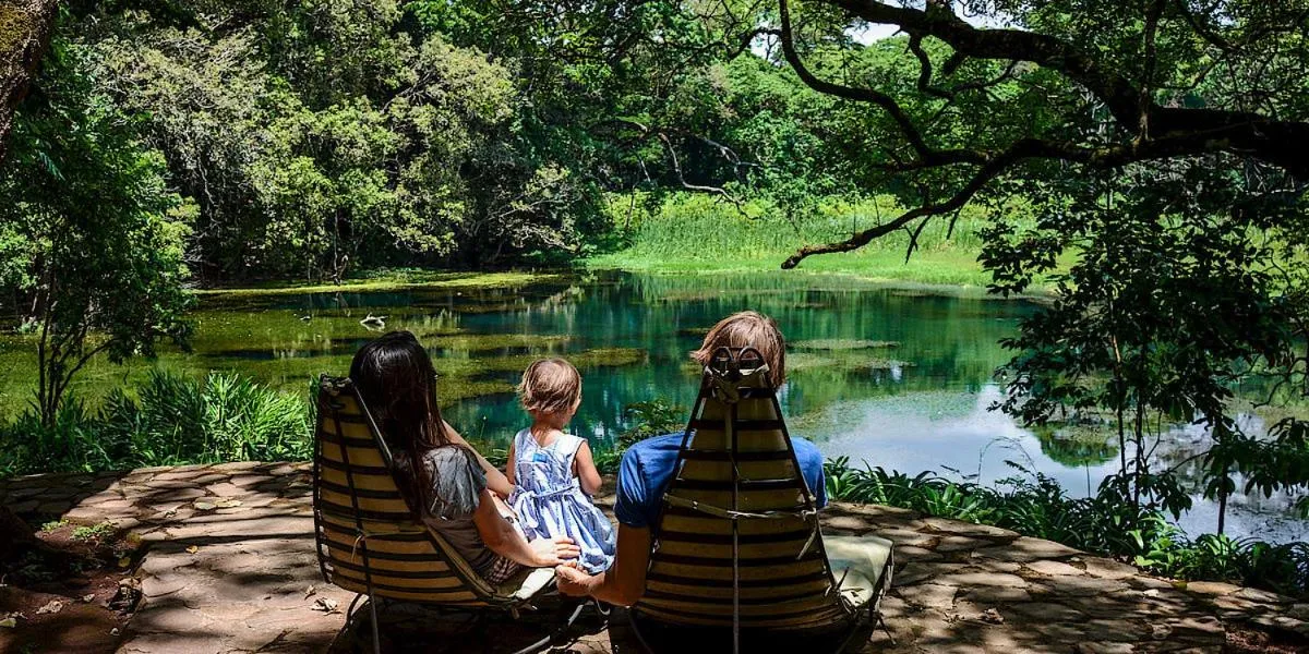 Garden in Ngare Sero Mountain Lodge