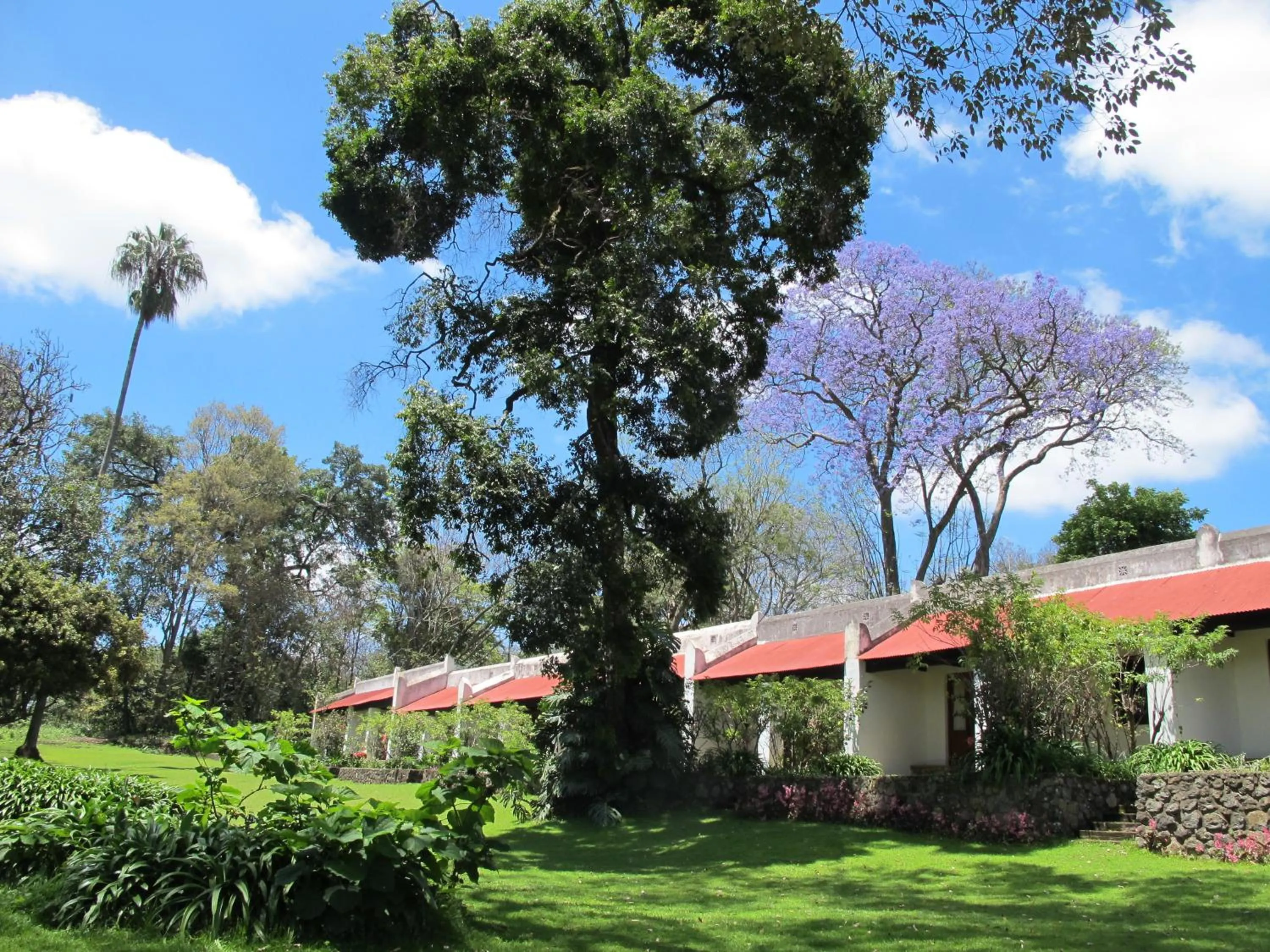 Patio in Ngare Sero Mountain Lodge