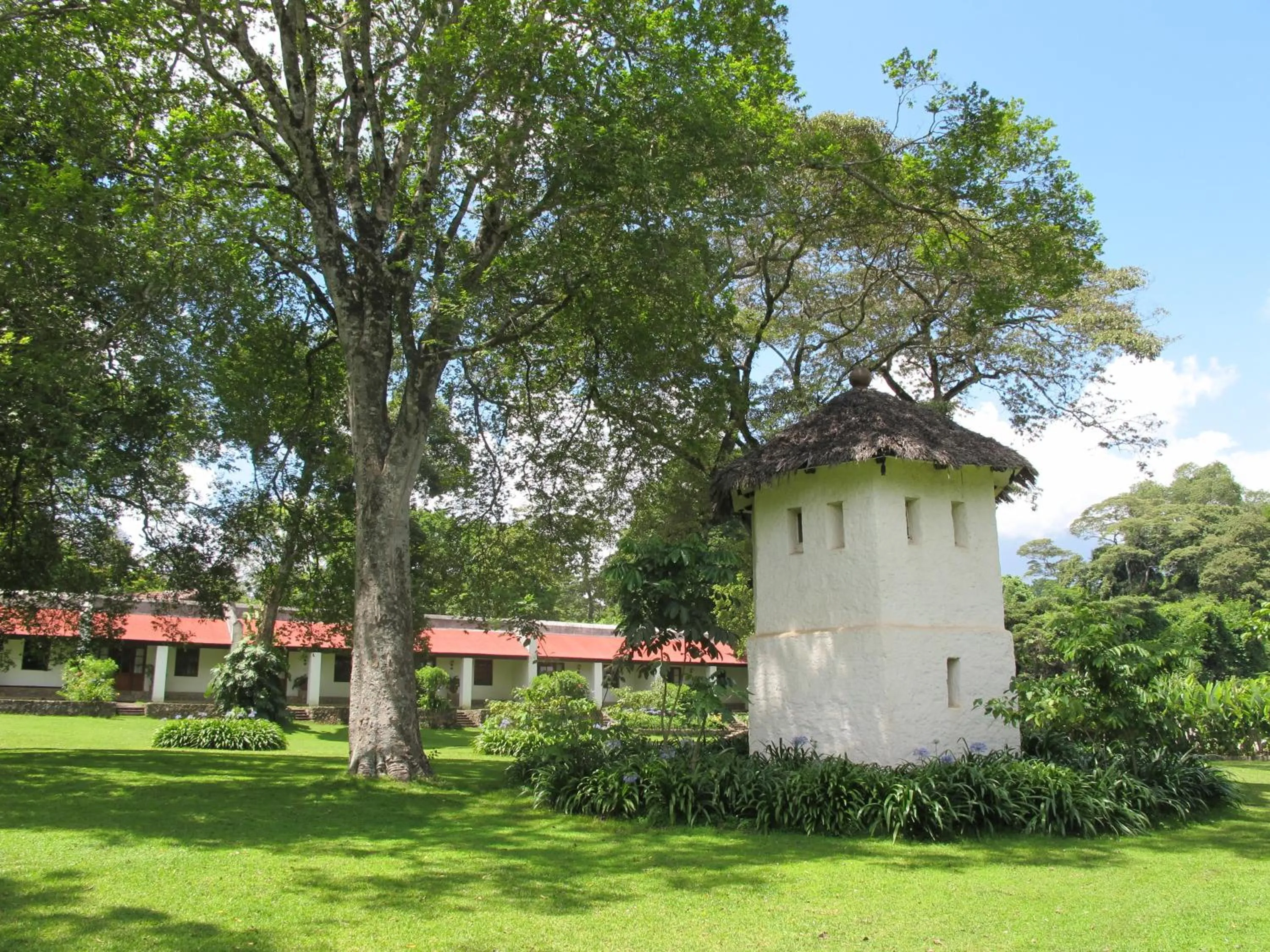 Patio in Ngare Sero Mountain Lodge