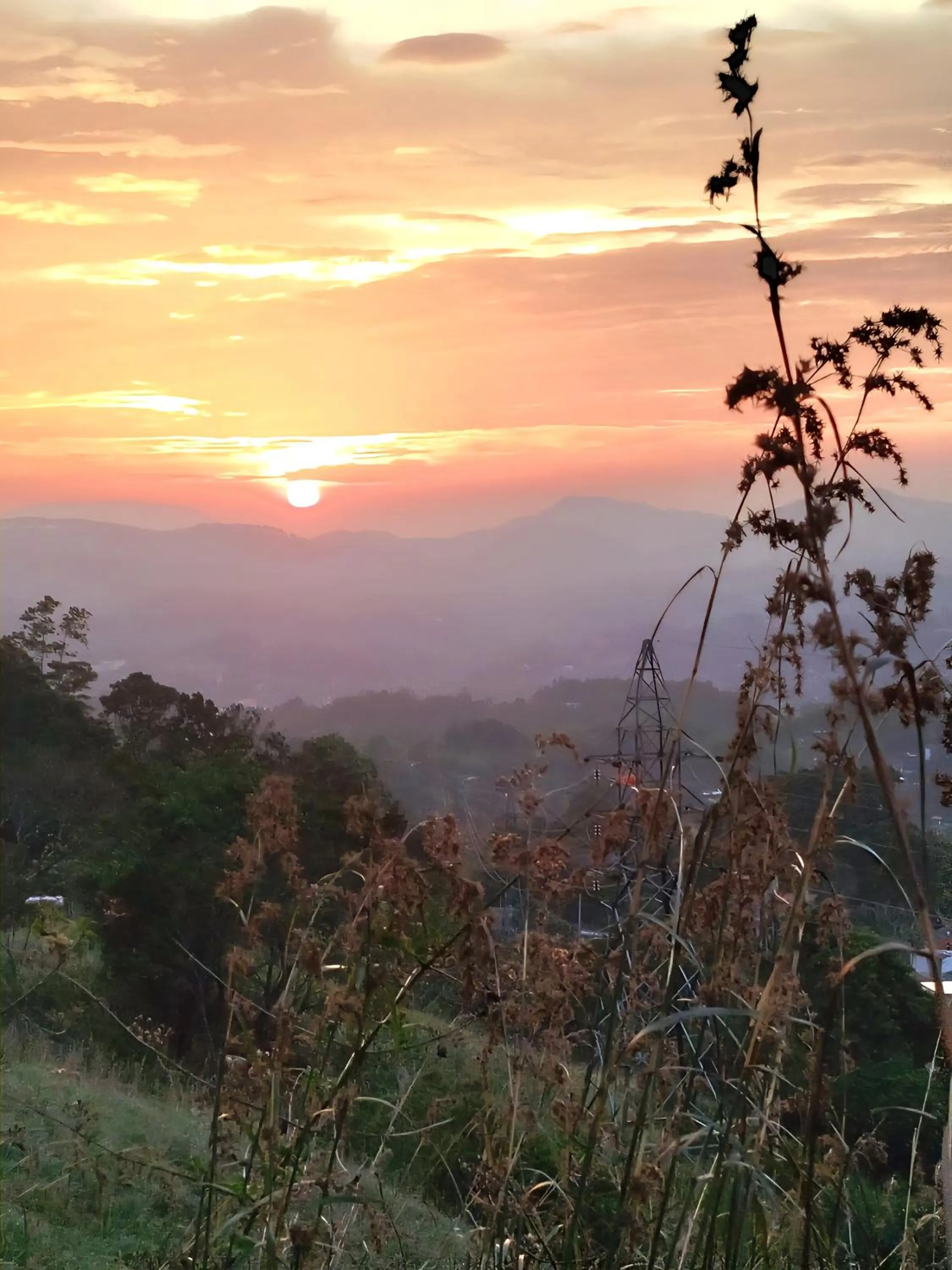 Natural landscape in Peaceful Peak