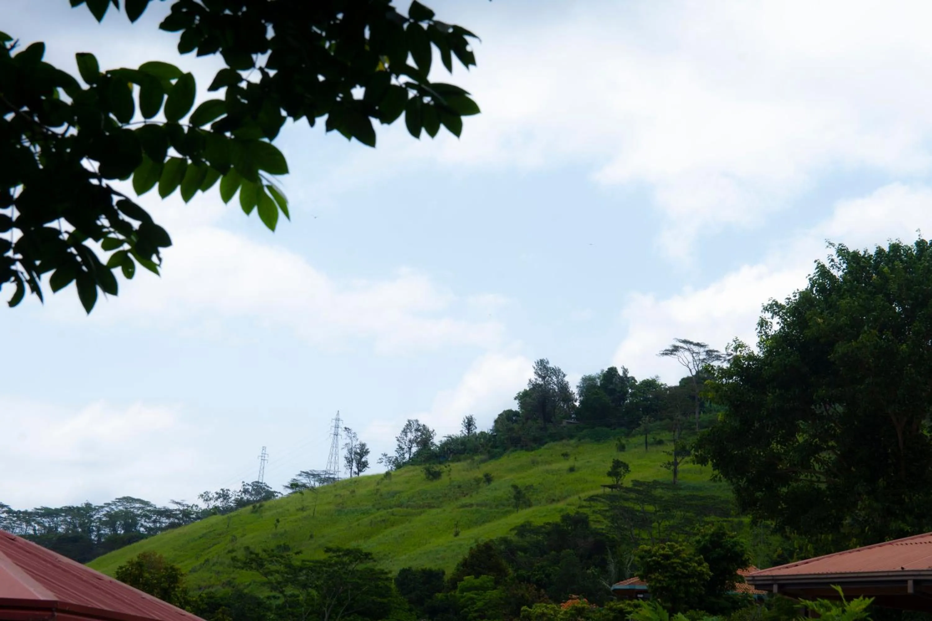 Day in Peaceful Peak