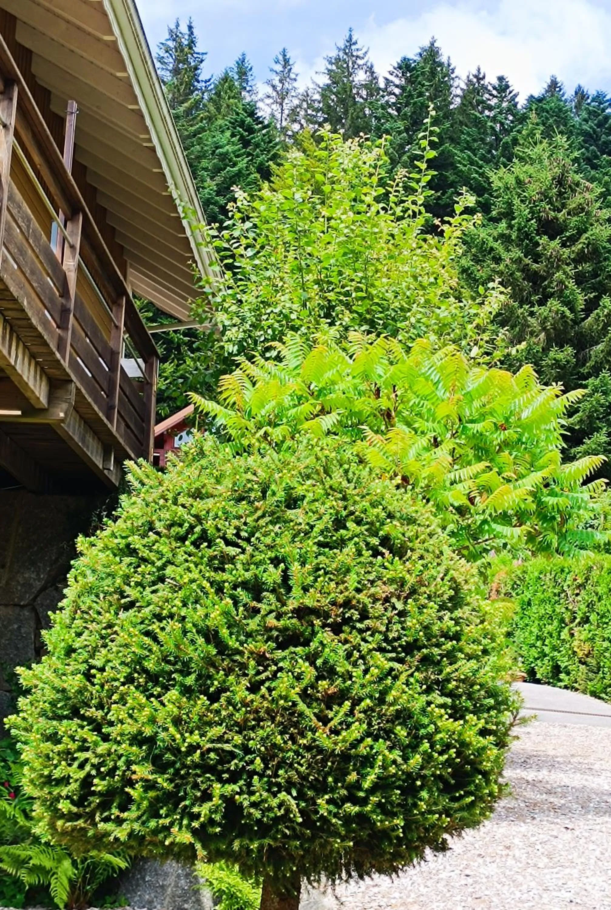 Natural landscape in L'Eden de Floridylle