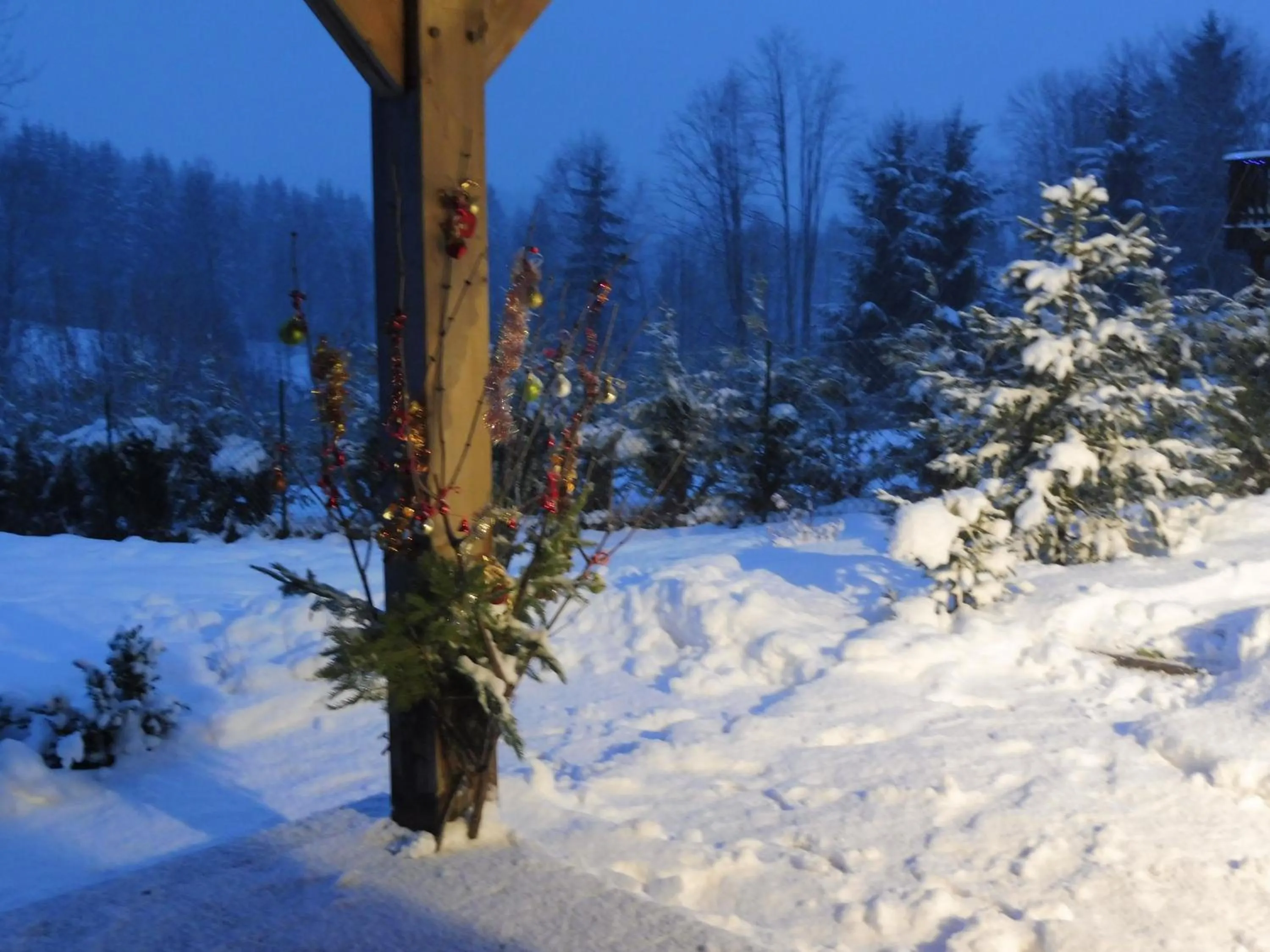 Natural landscape in L'Eden de Floridylle