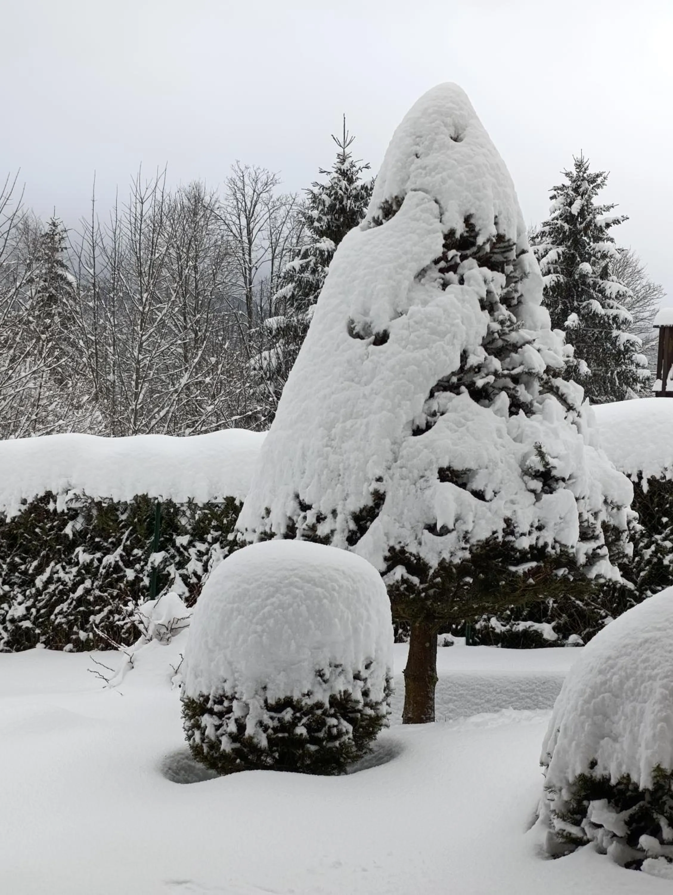 Natural landscape in L'Eden de Floridylle