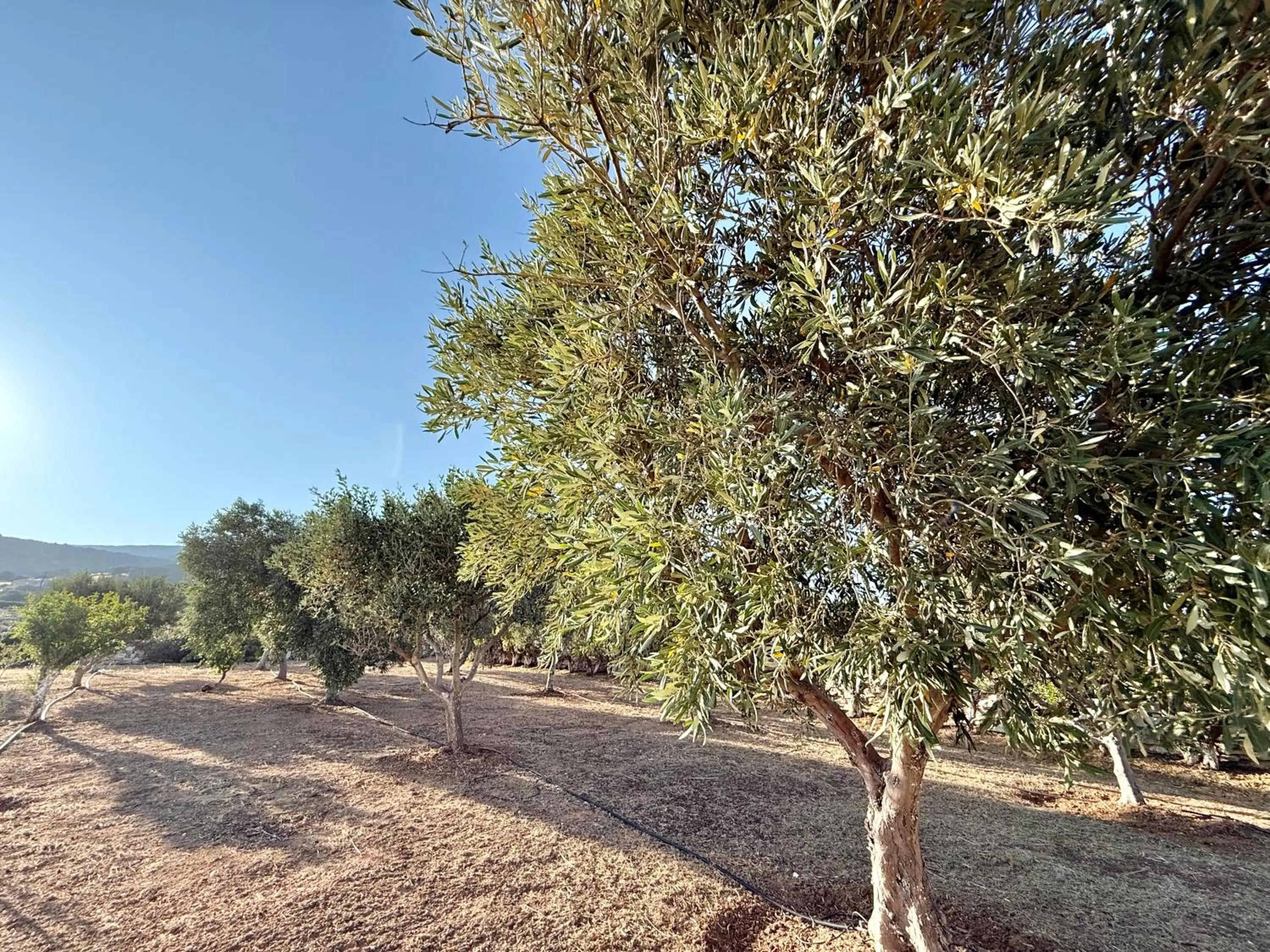 Day in Yaleena Residences