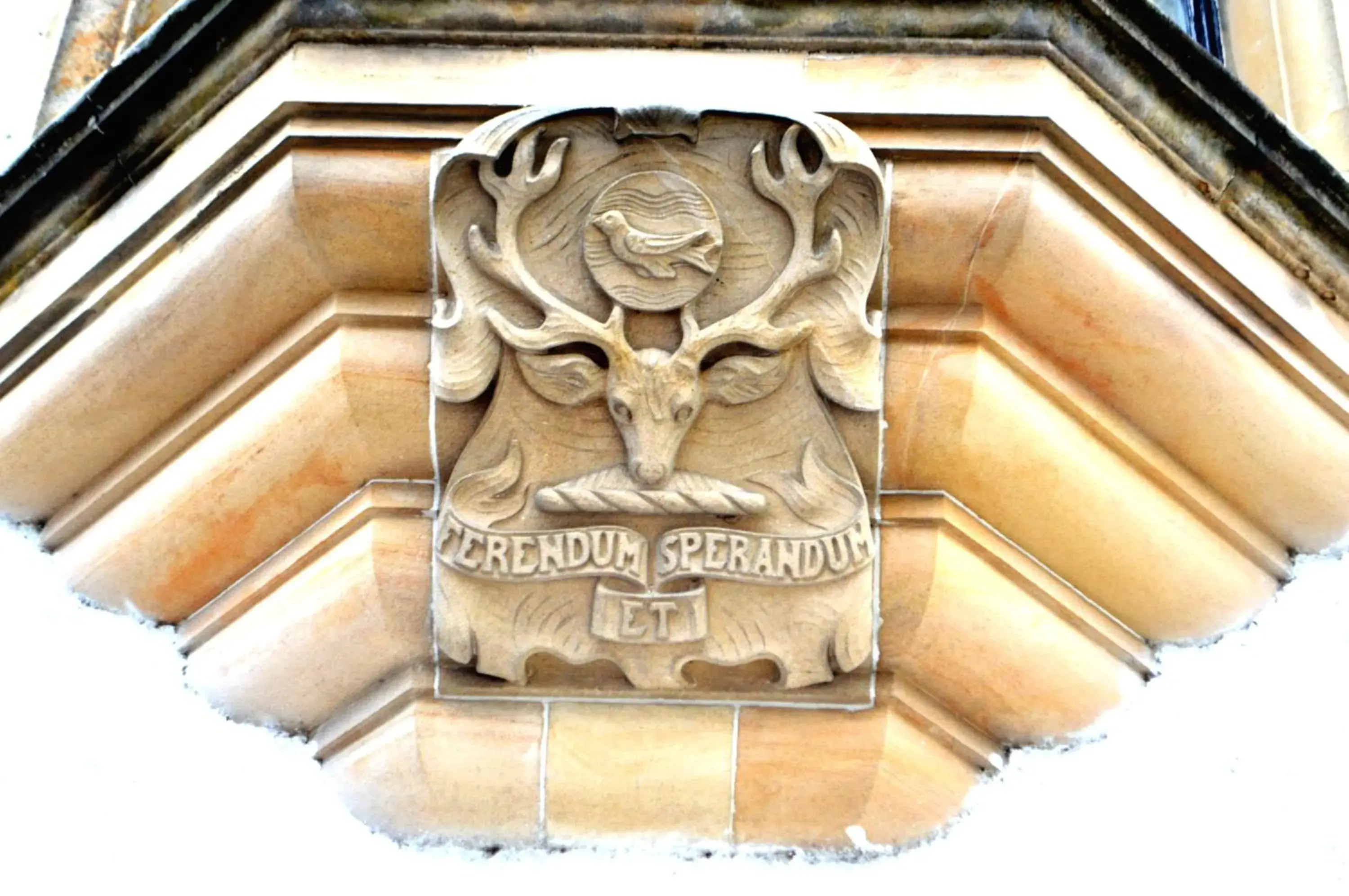 Facade/entrance in Kincraig Castle Hotel Facade/entrance in Kincraig Castle Hotel