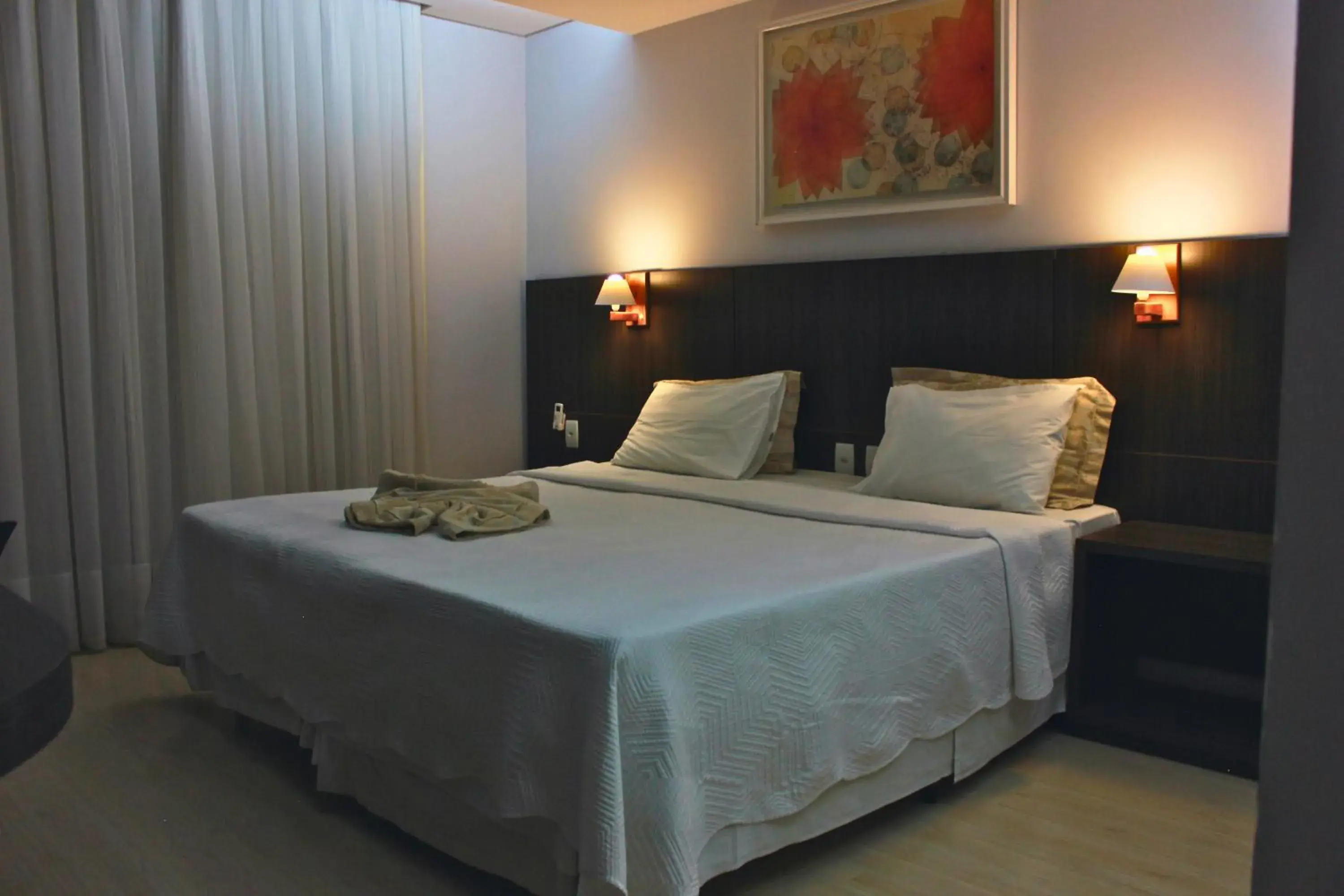 Double Room - single occupancy in Gontijo Inn Hotel Double Room - single occupancy in Gontijo Inn Hotel