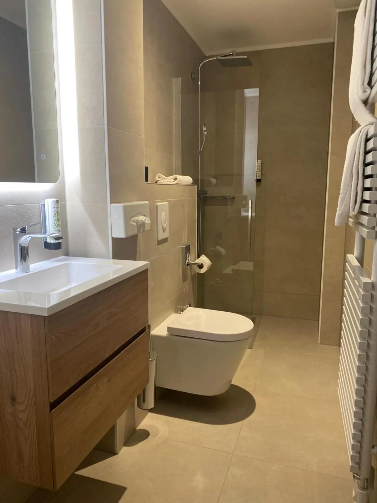 Shower in Hotel Ehnen La Moselle Luxembourg