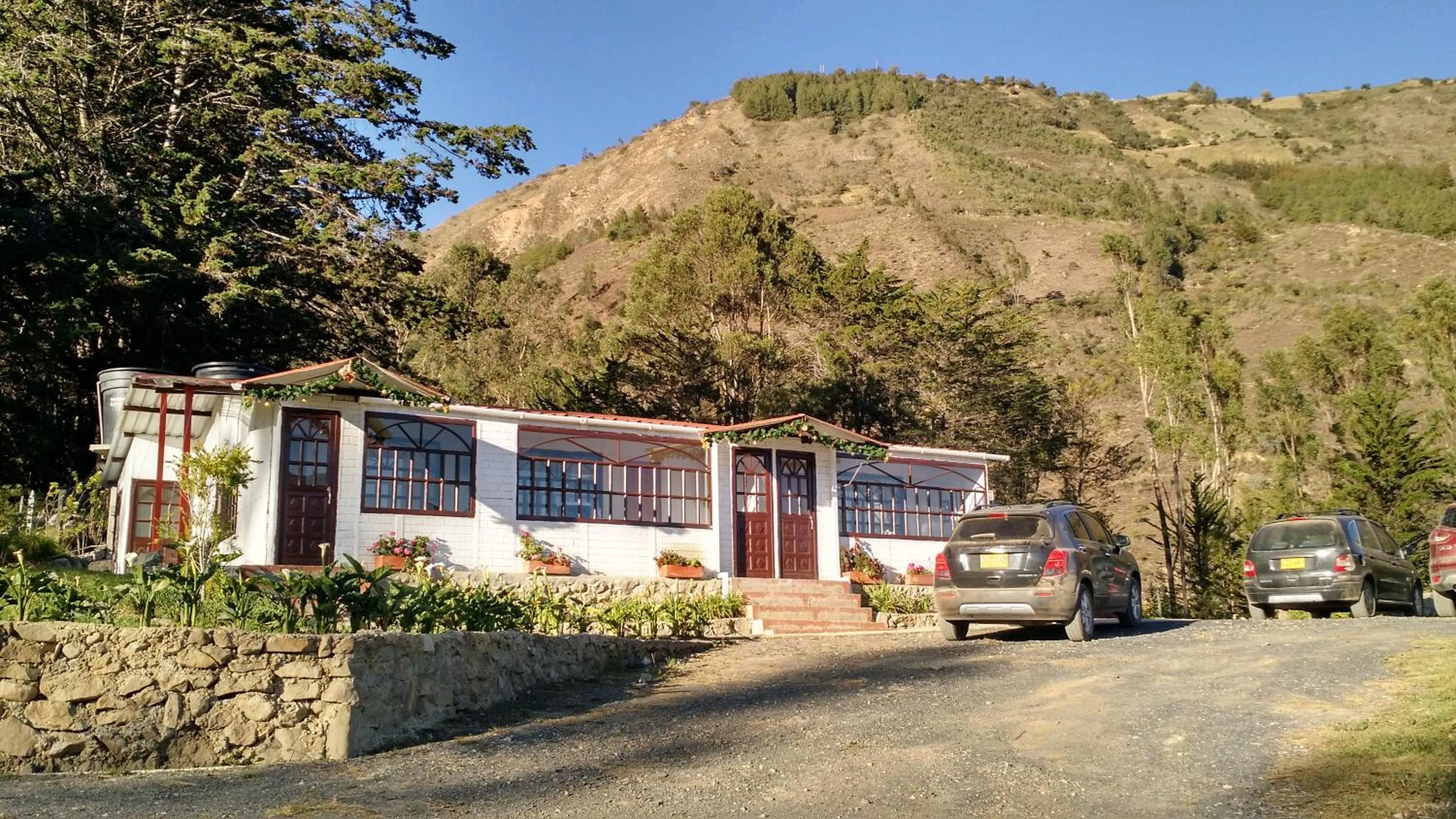 Pinares del Carrizalito