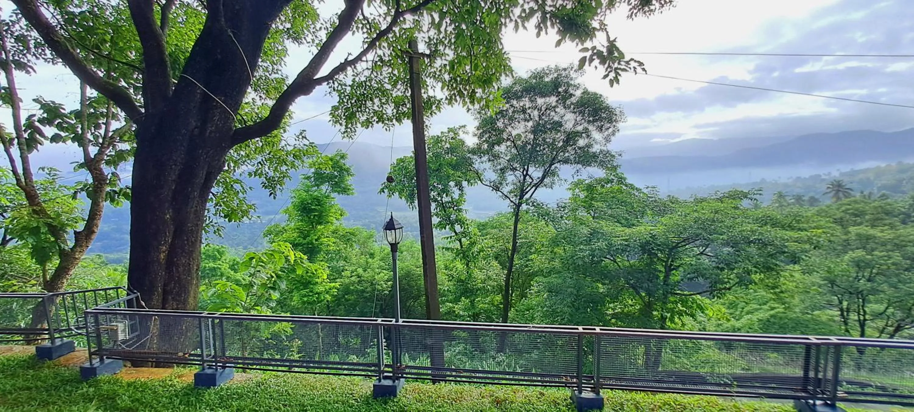 Natural landscape in Mist Farm House