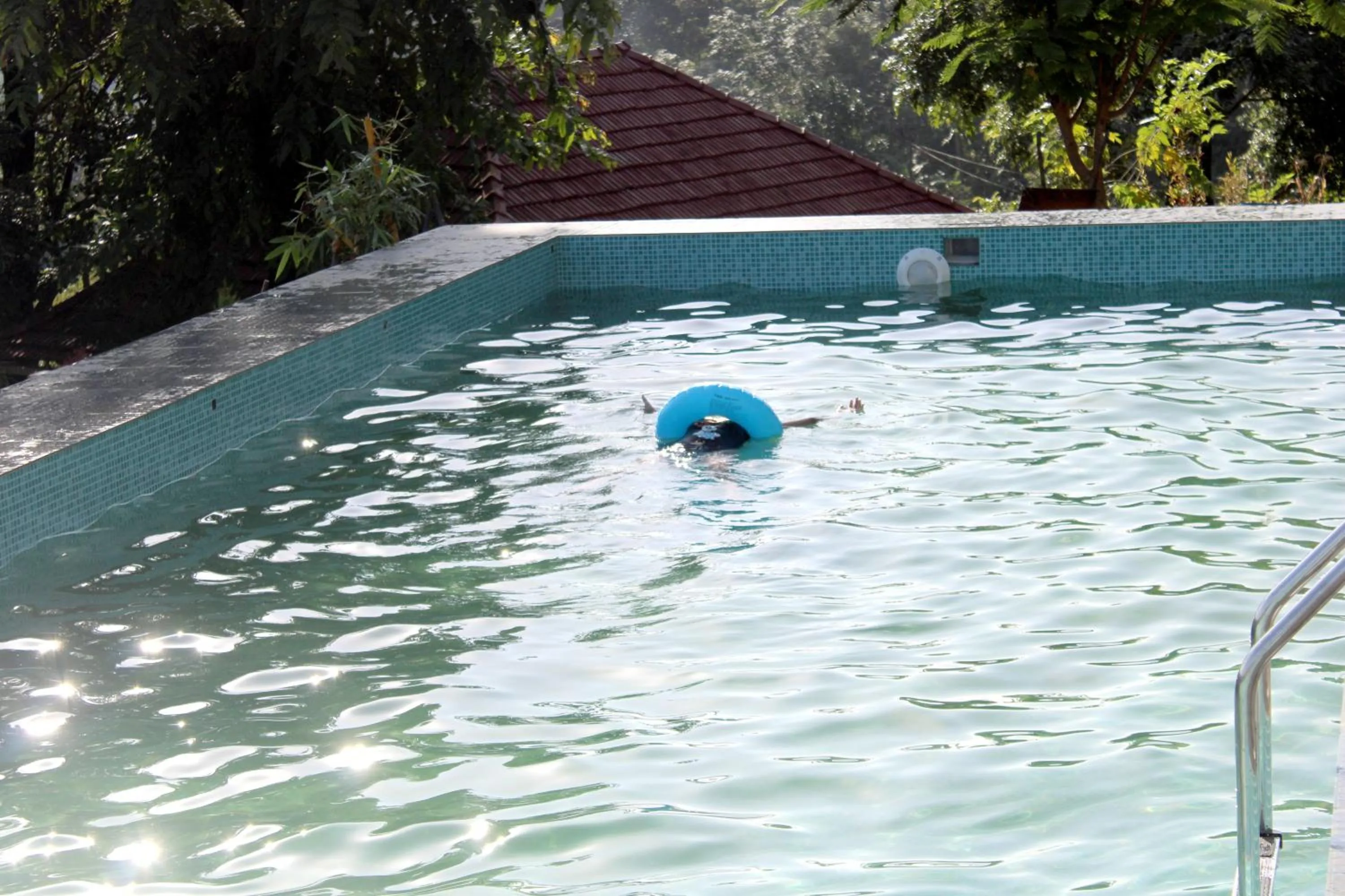 Swimming pool in Mist Farm House