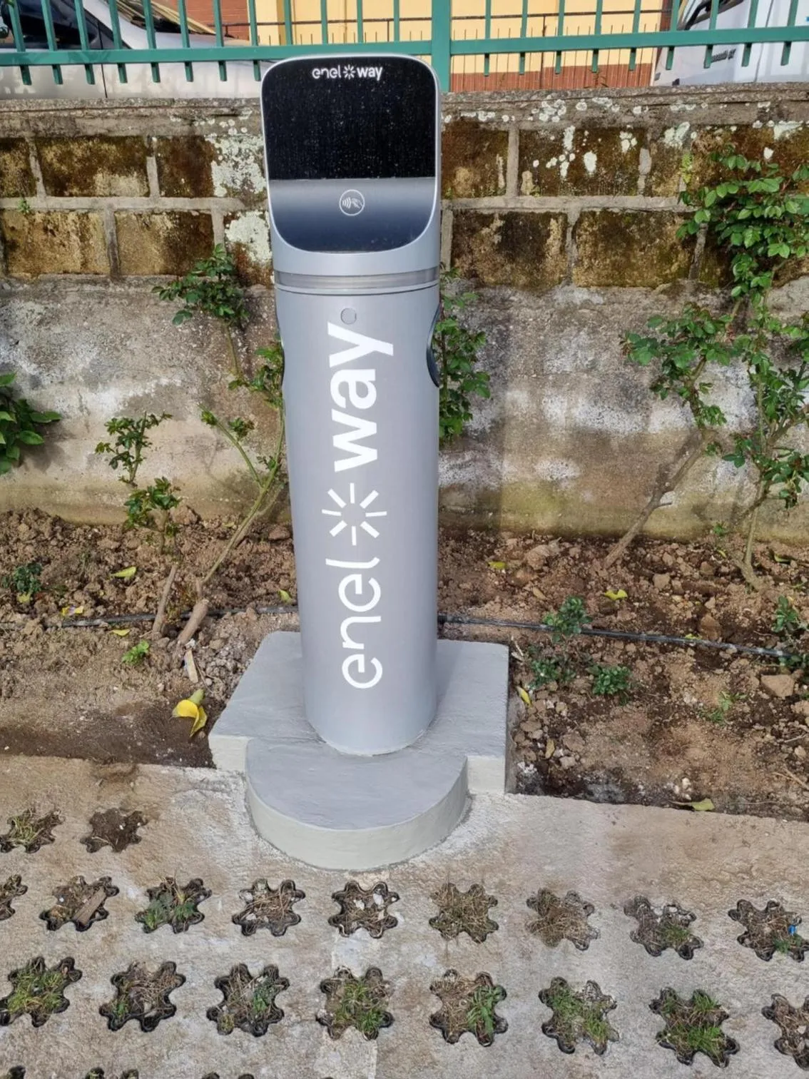 Garden in Hotel Leone