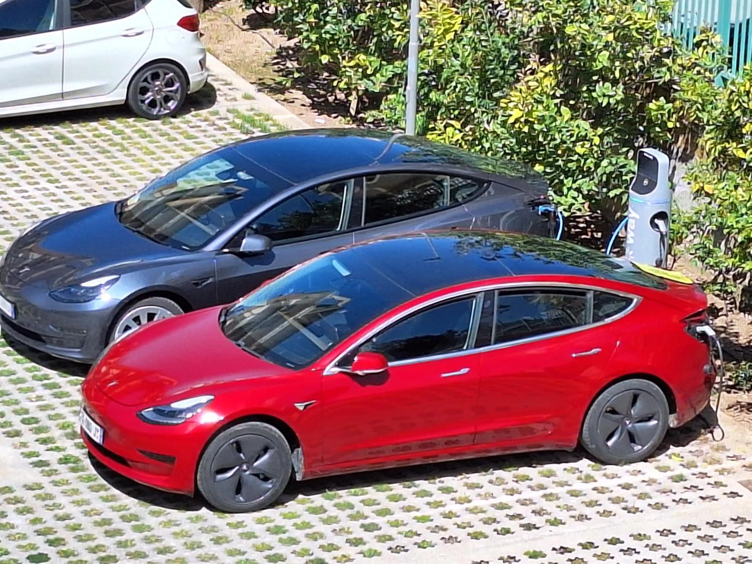 Garden view in Hotel Leone