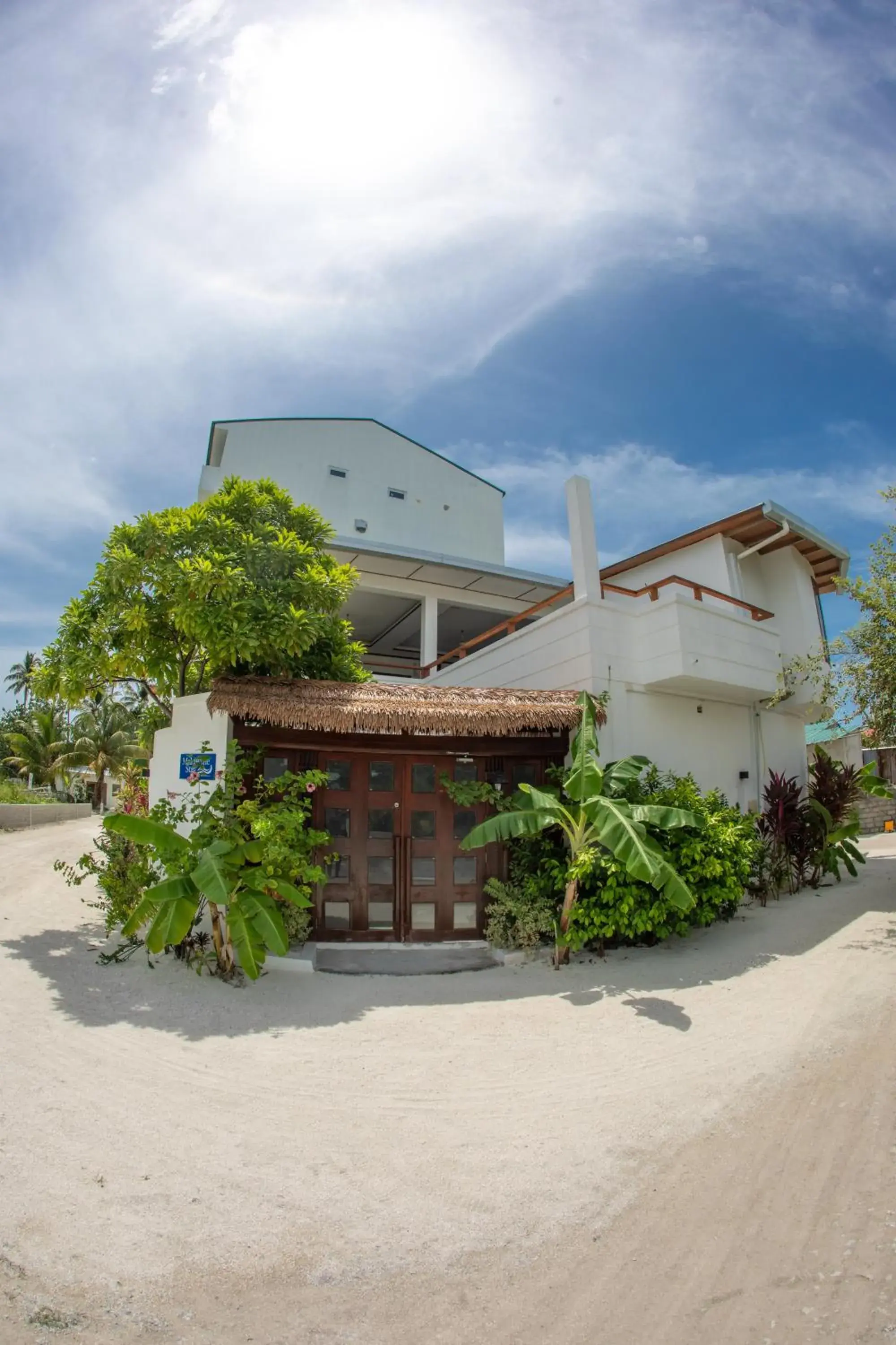 Maldivine Stay Dhiffushi Maldivine Stay Dhiffushi