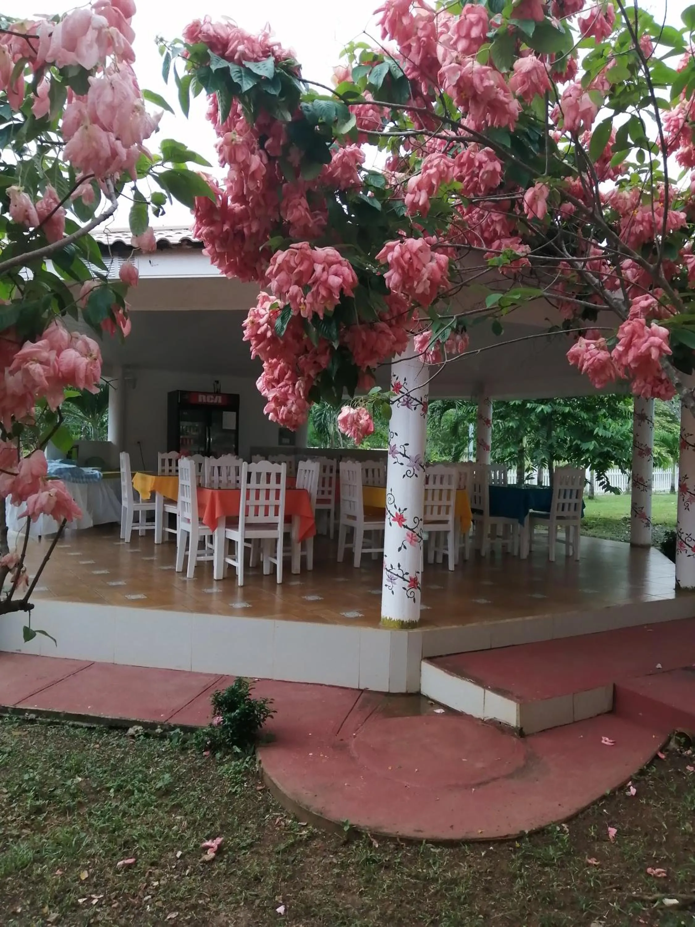 Property building in Cabañas Sherlley
