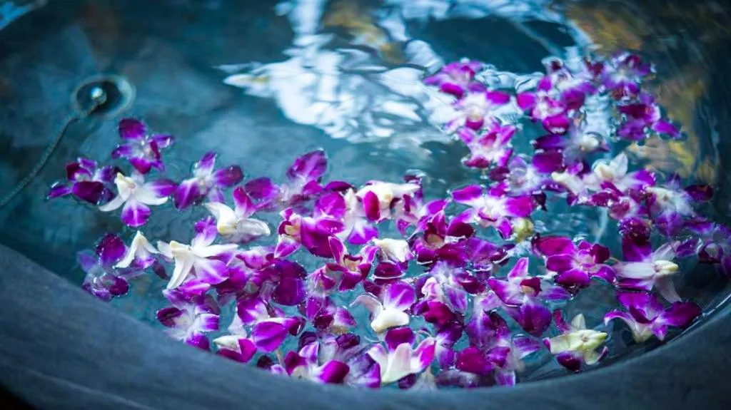 Hot Spring Bath in Kaze no Tani no Iori