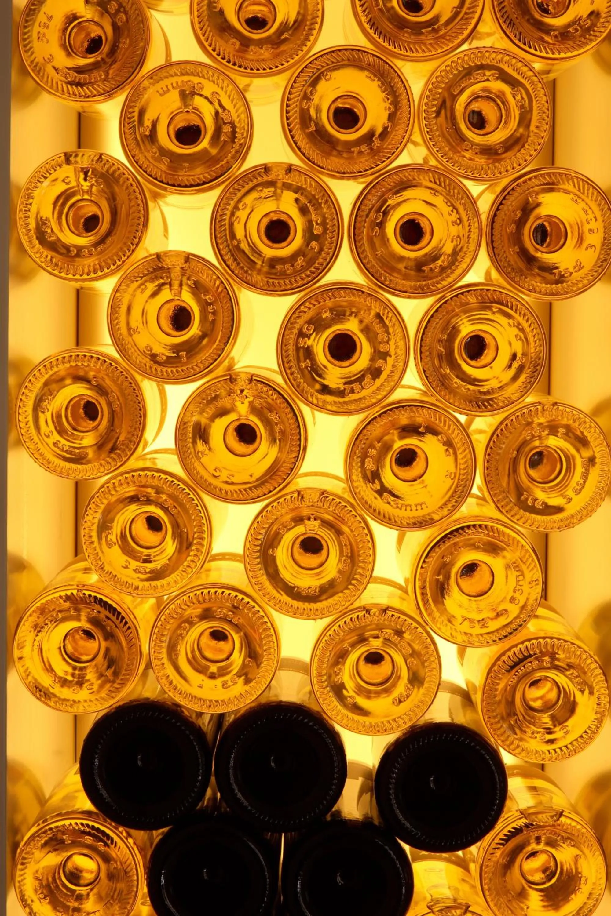 Other in Hotel Palladio