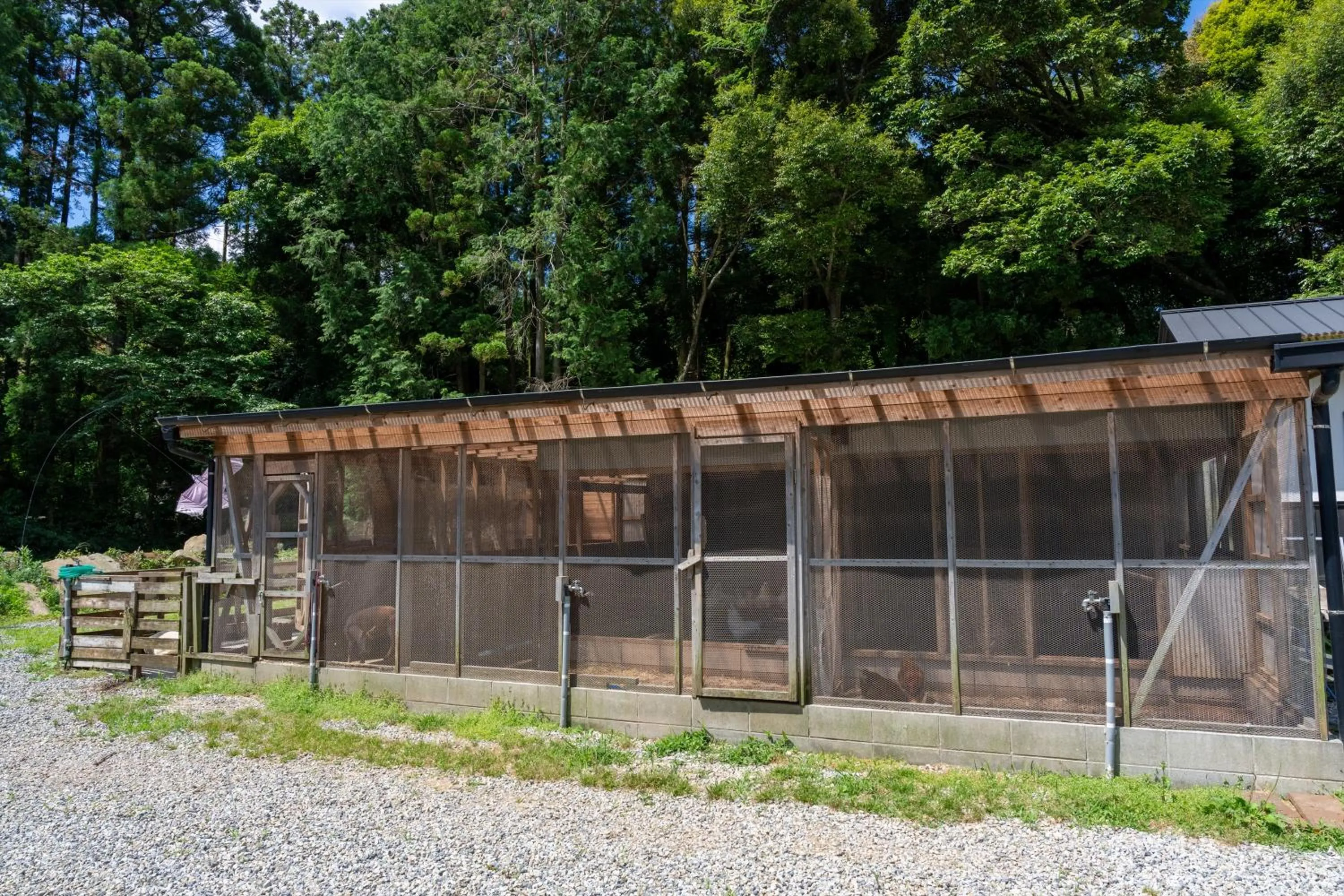 Off site in Tsuwabuki no Hana