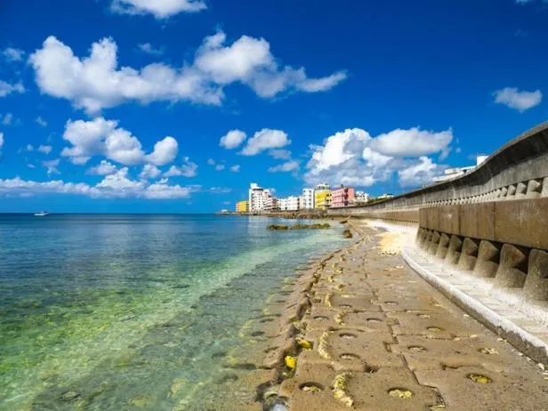 Nearby landmark in CONDOMINIUM HOTEL Riyuka in KADENA 1