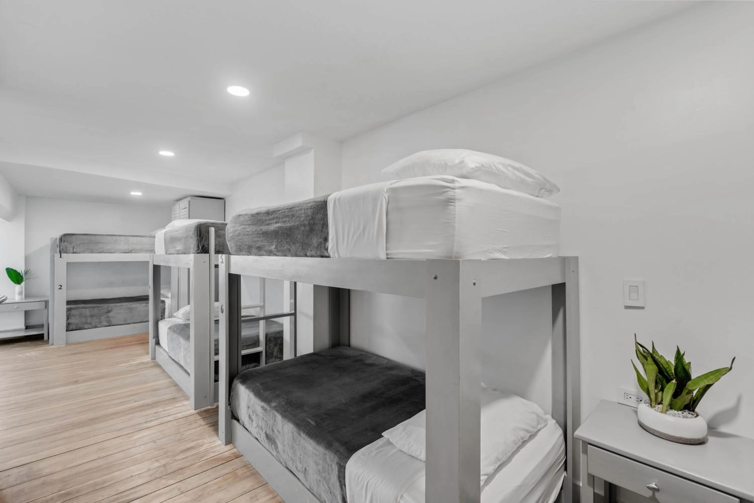 Photo of the whole room, Bed in Iguana Surf Camp