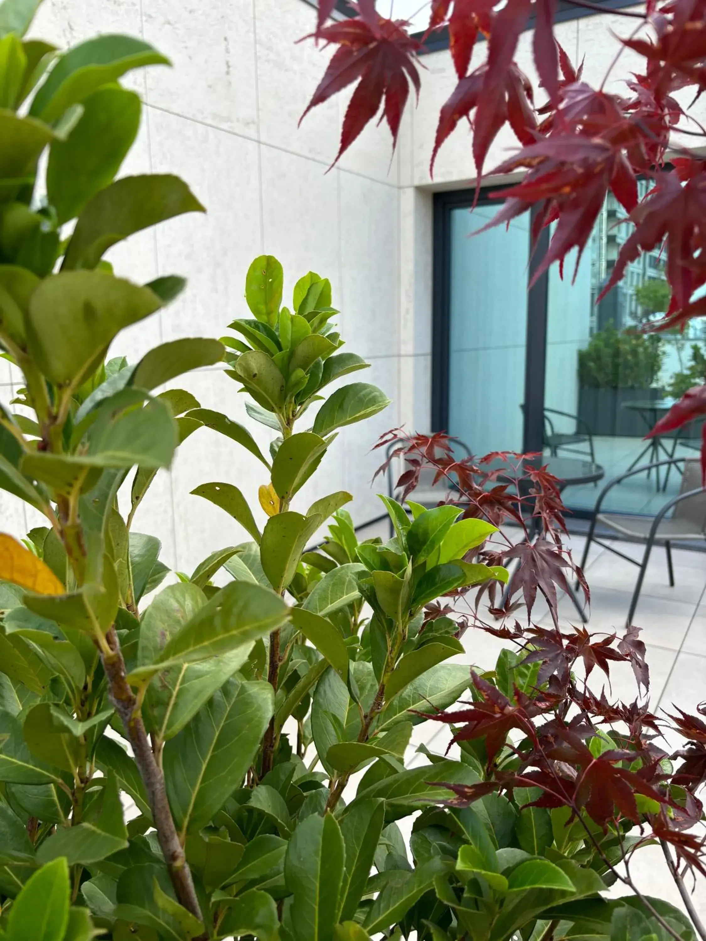 Property building in Blue Star Luxury Hotel Property building in Blue Star Luxury Hotel