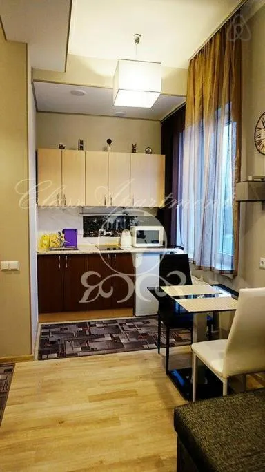 Kitchen or kitchenette in Main Street Apartments
