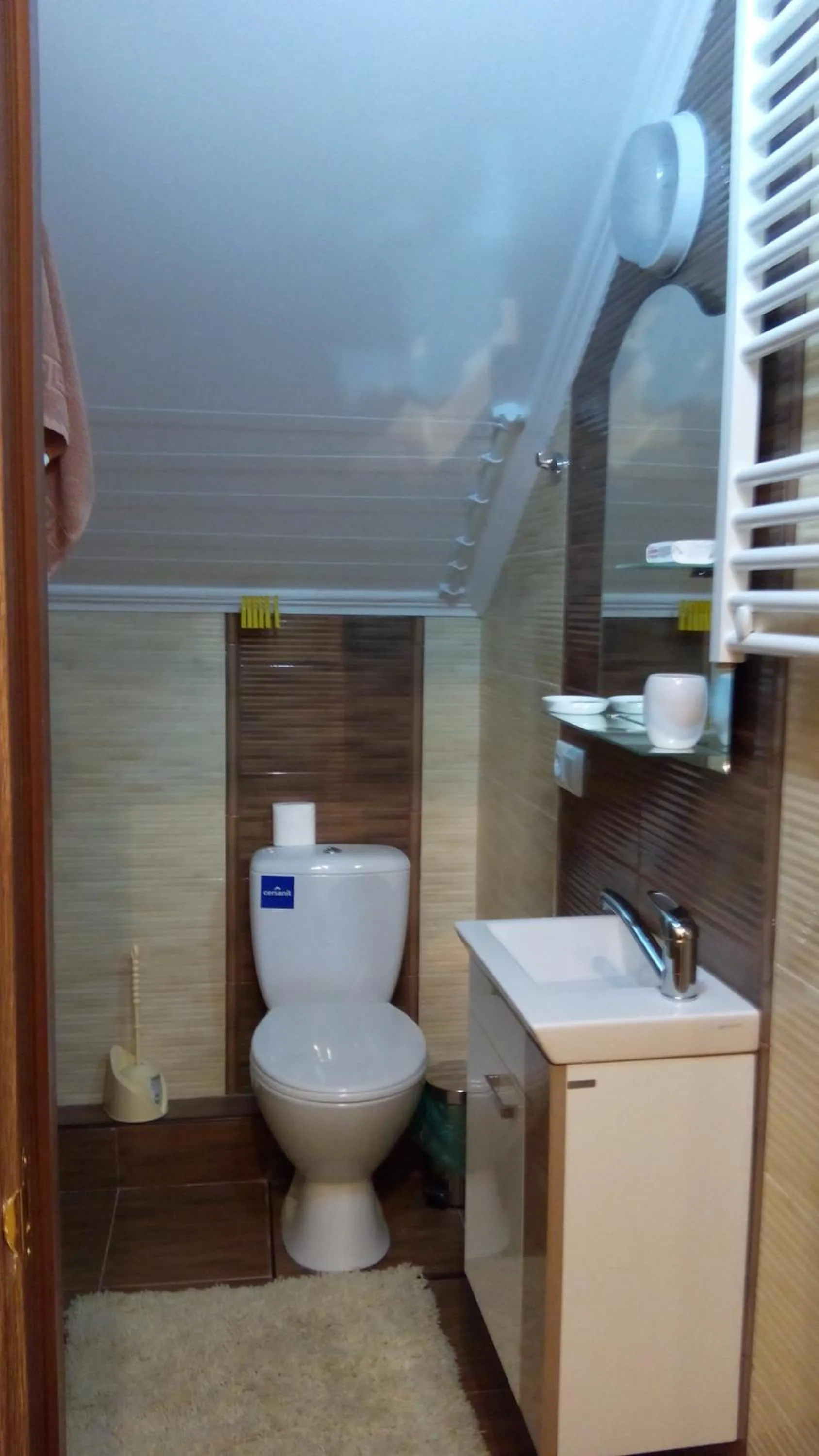Toilet in Main Street Apartments