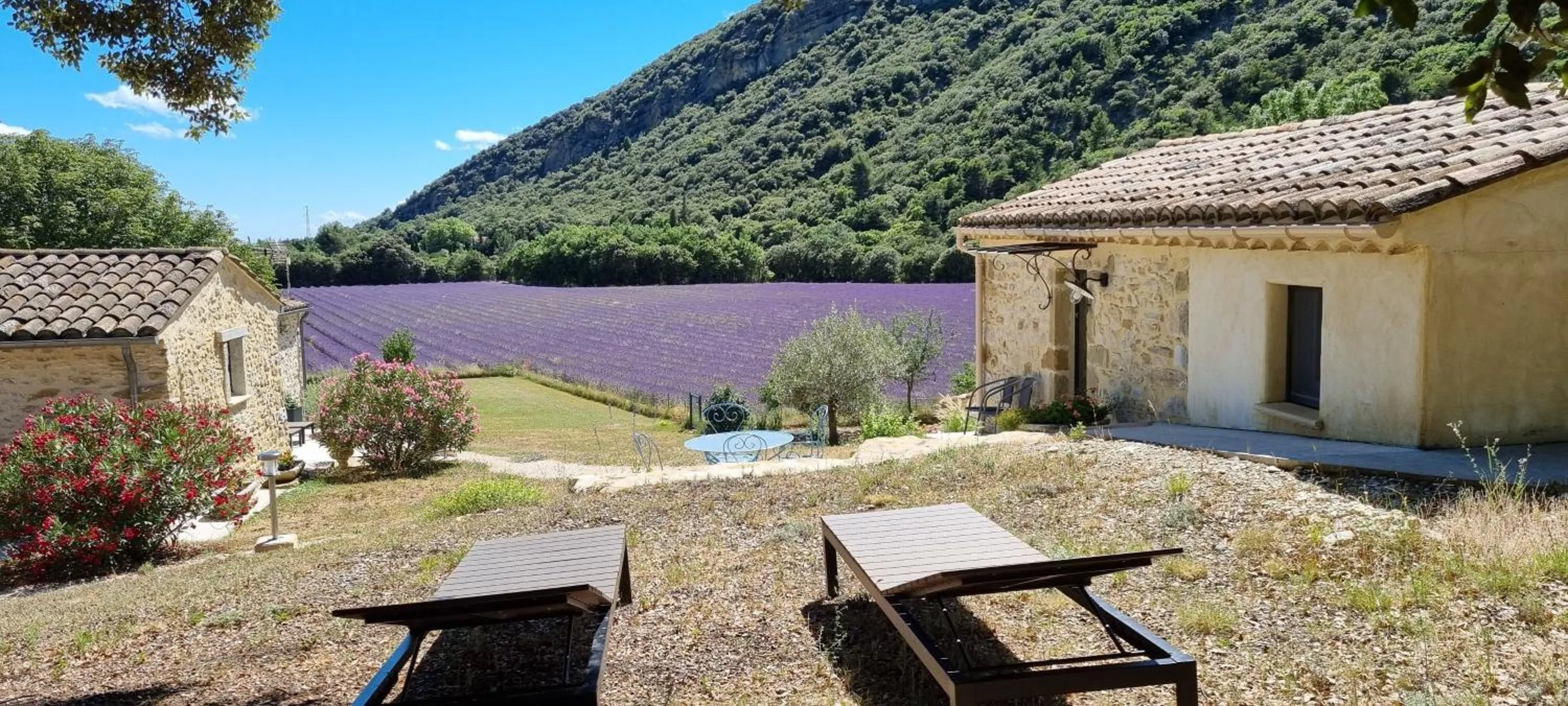 View (from property/room) in Mas De La Lance