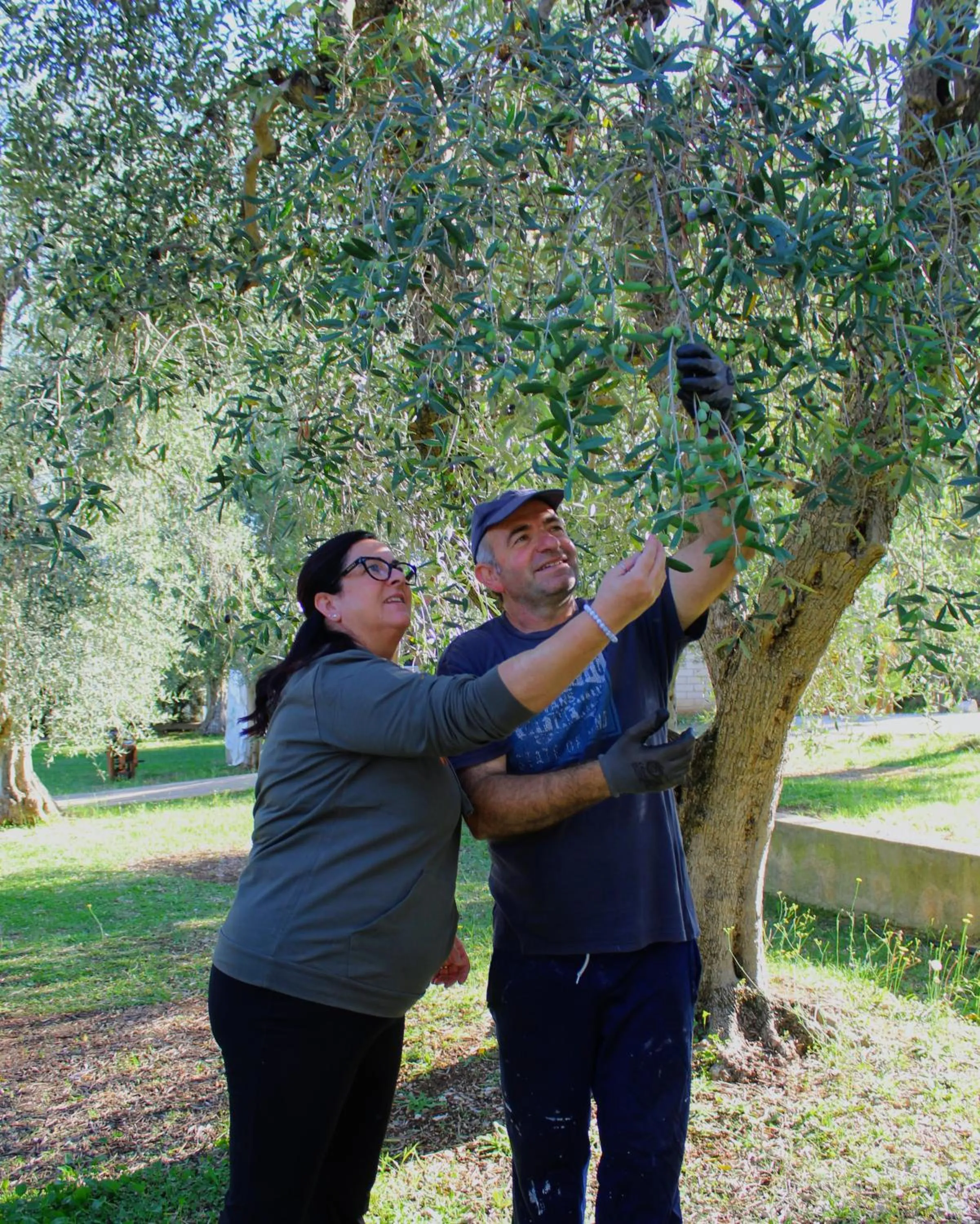 Natural landscape in Hotel Palme Gemelle