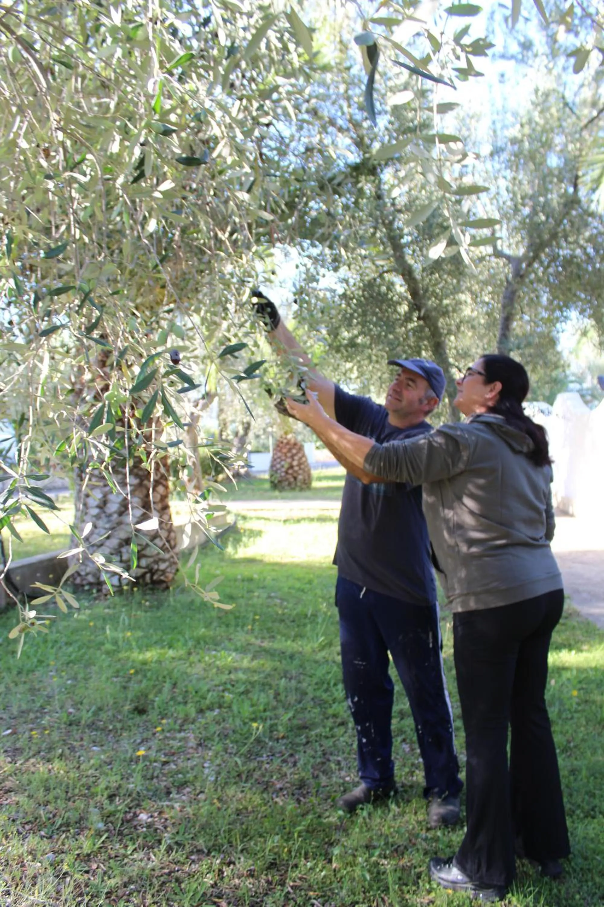 Spring in Hotel Palme Gemelle