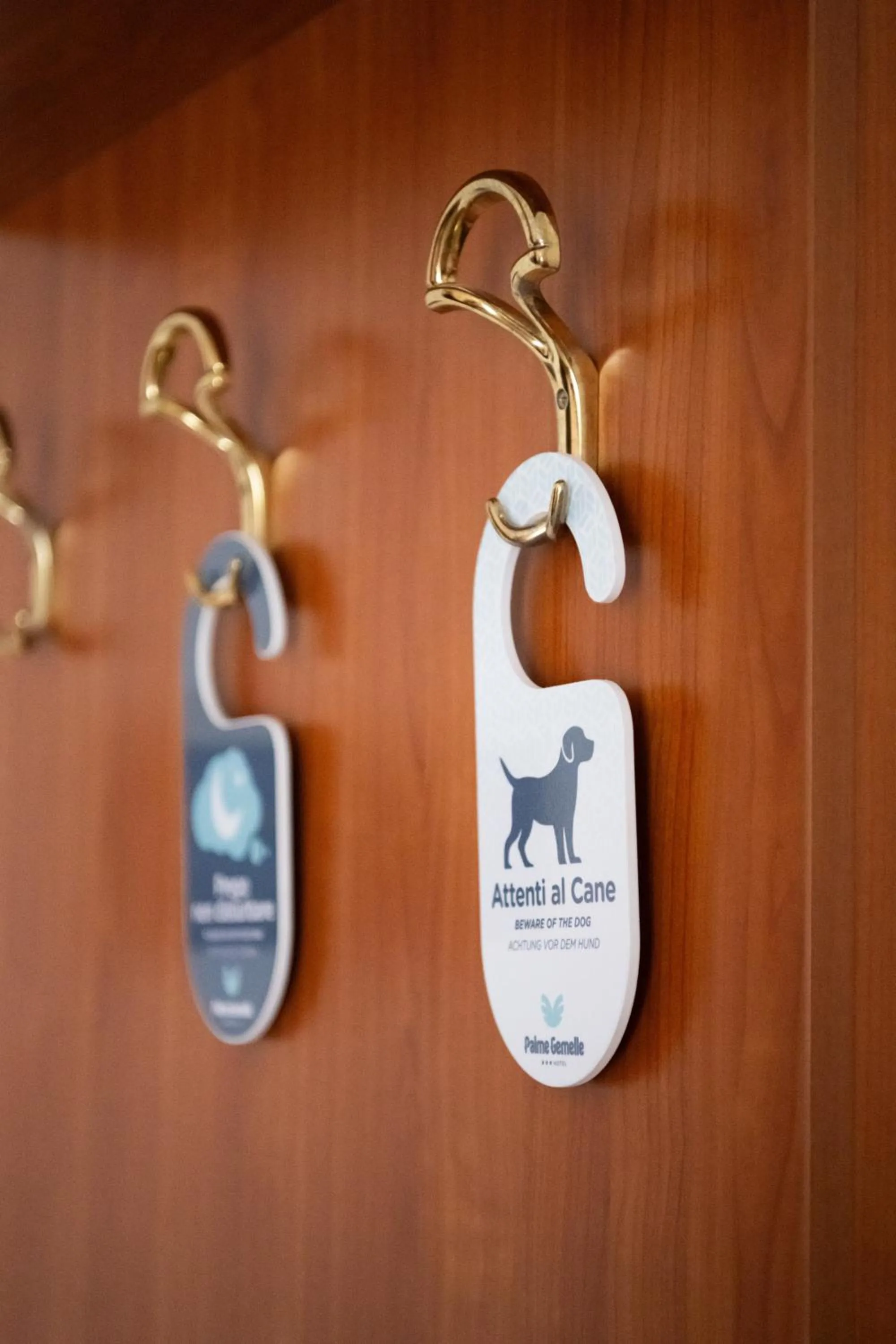 pet friendly in Hotel Palme Gemelle