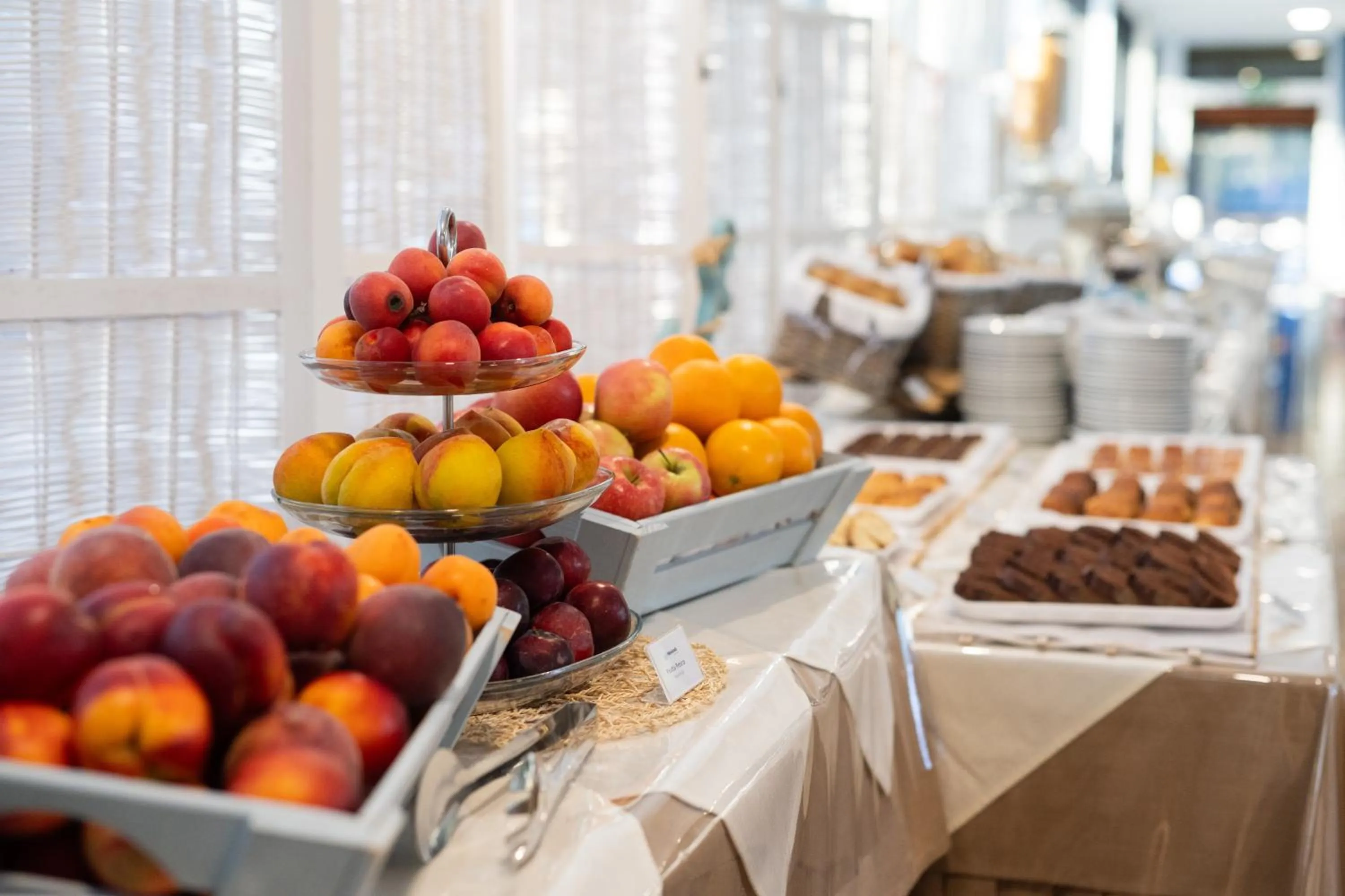 Food and drinks in Hotel Palme Gemelle