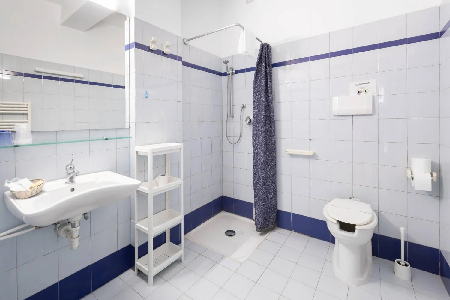 Facility for disabled guests in Hotel Palme Gemelle