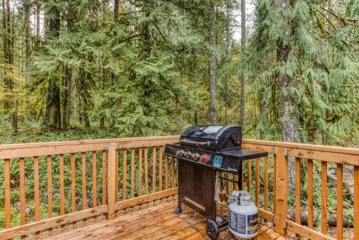 BBQ facilities in Mt Air Motel