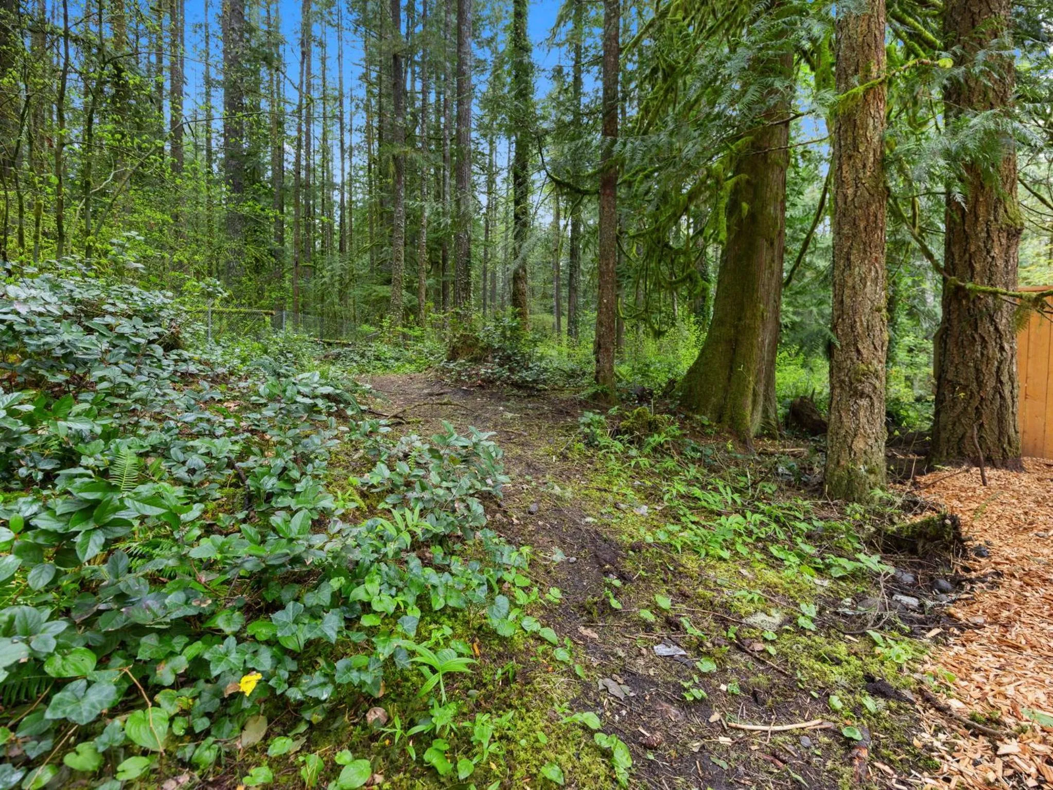 Natural landscape in Mt Air Motel